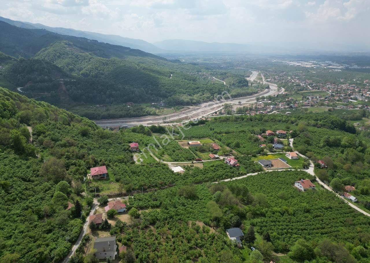 Düzce Merkez Güven Köyü'nde 1448 M² Satılık Arsa - Görsel 17