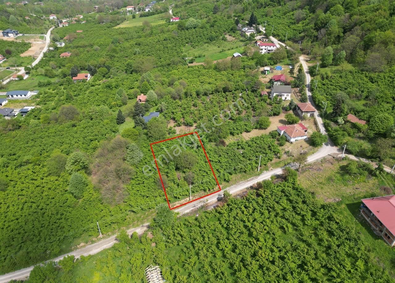 Düzce Merkez Güven Köyü'nde 1448 M² Satılık Arsa - Görsel 11
