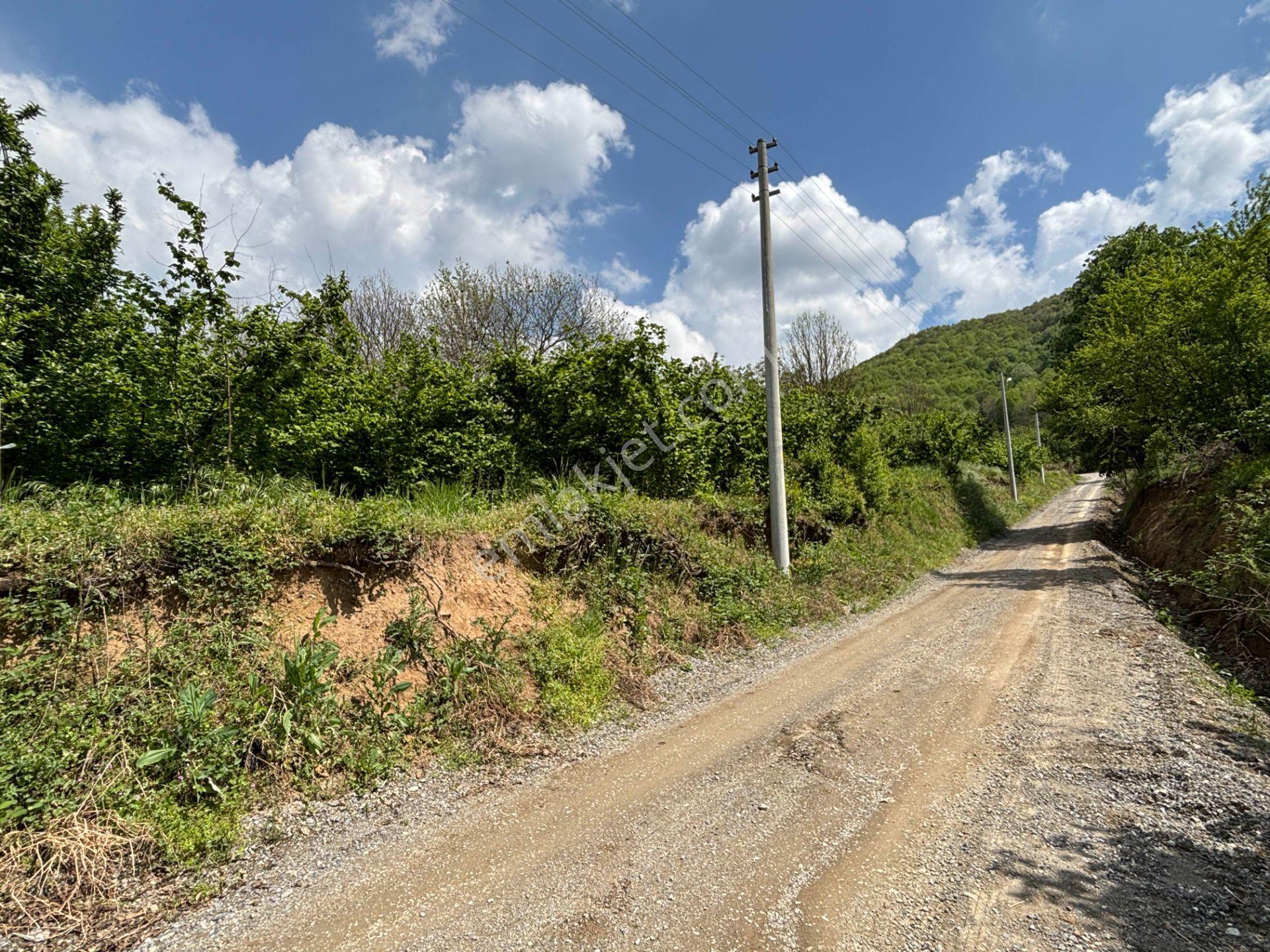 Düzce Merkez Güven Köyü'nde 1448 M² Satılık Arsa - Görsel 30