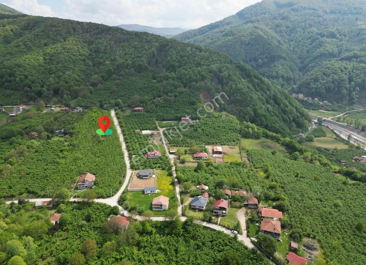 Düzce Merkez Güven Köyü'nde 1448 M² Satılık Arsa - Görsel 20