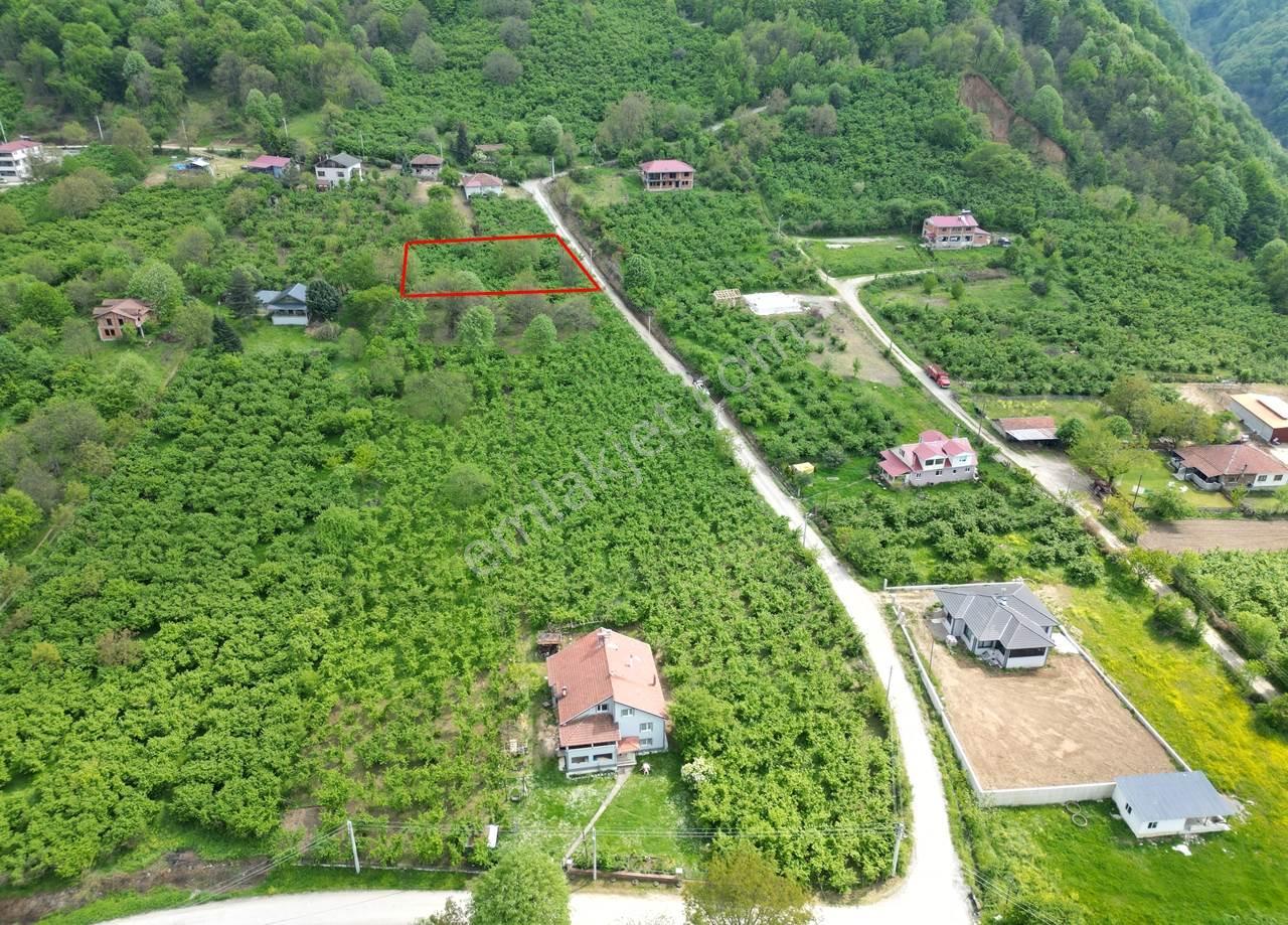 Düzce Merkez Güven Köyü'nde 1448 M² Satılık Arsa - Görsel 7