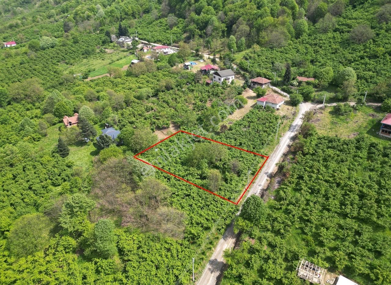 Düzce Merkez Güven Köyü'nde 1448 M² Satılık Arsa - Görsel 2