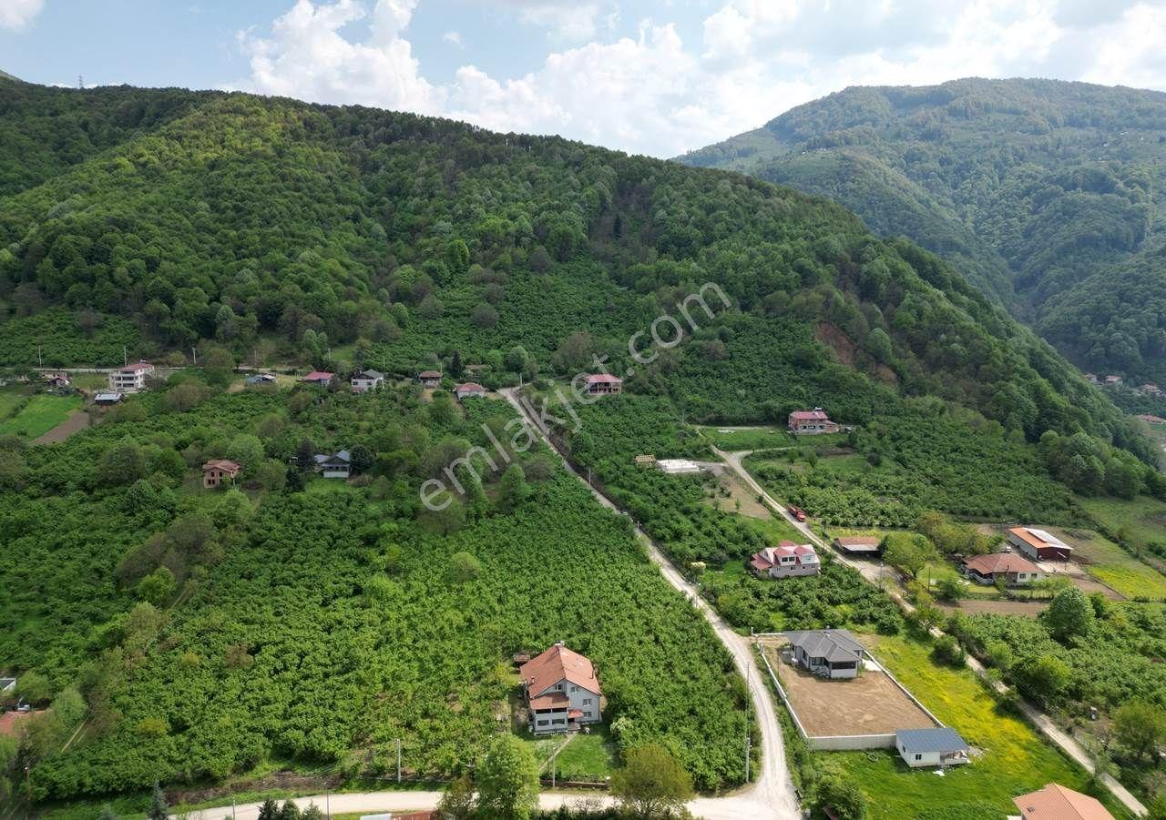Düzce Merkez Güven Köyü'nde 1448 M² Satılık Arsa - Görsel 24