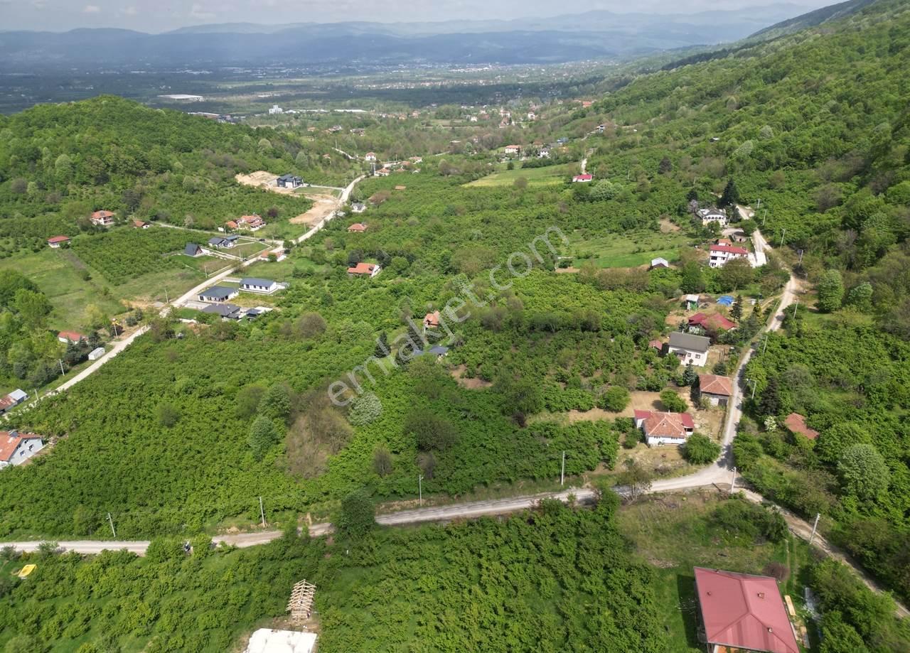 Düzce Merkez Güven Köyü'nde 1448 M² Satılık Arsa - Görsel 12