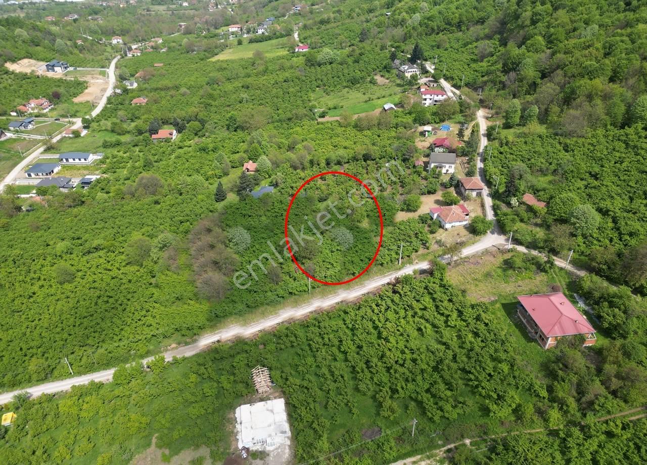 Düzce Merkez Güven Köyü'nde 1448 M² Satılık Arsa - Görsel 18