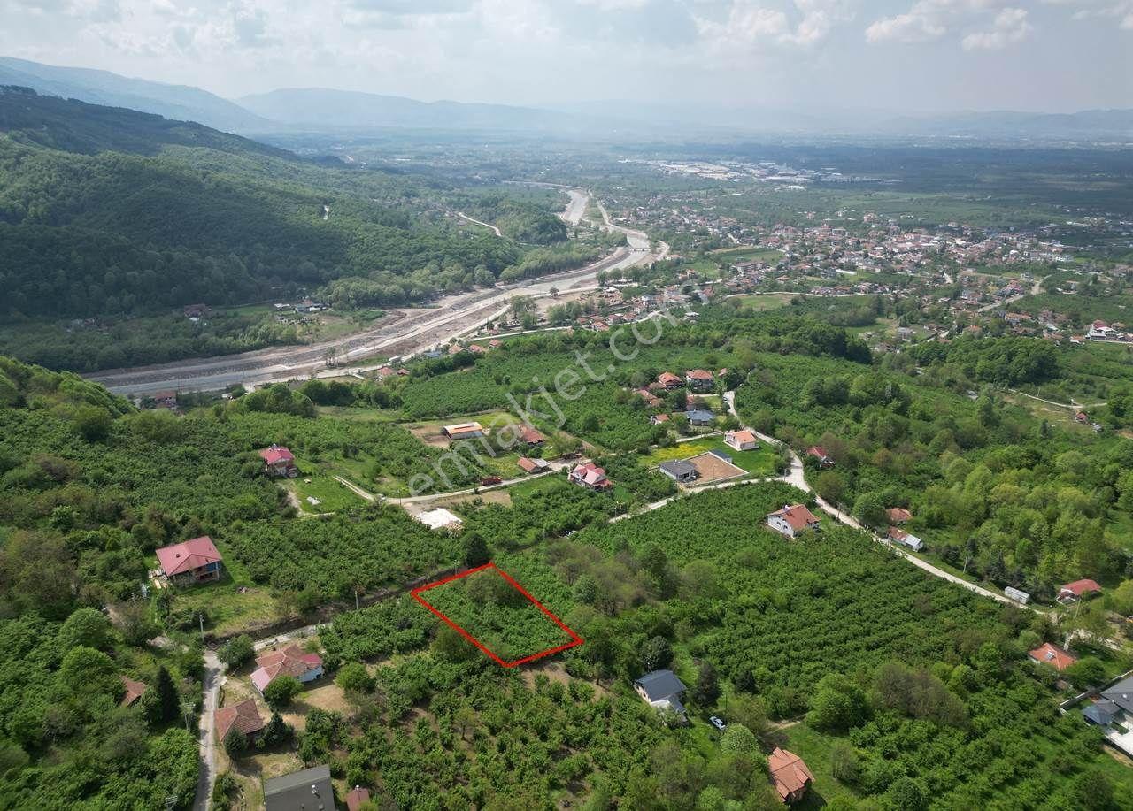 Düzce Merkez Güven Köyü'nde 1448 M² Satılık Arsa - Görsel 5