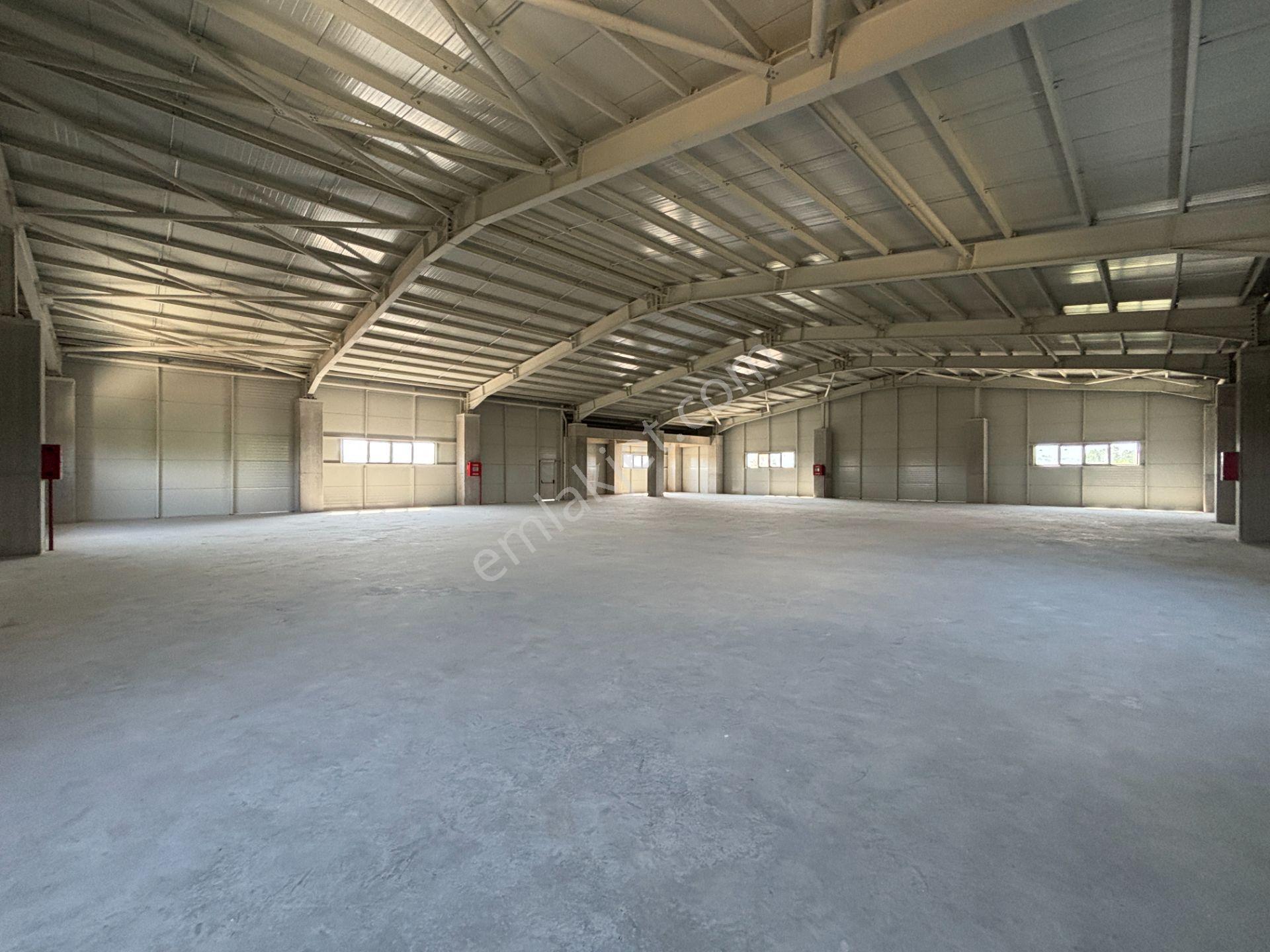 Düzce Gümüşova Hacıkadirler’de Kiralık Fabrika / Depo / Antrepo - Görsel 27