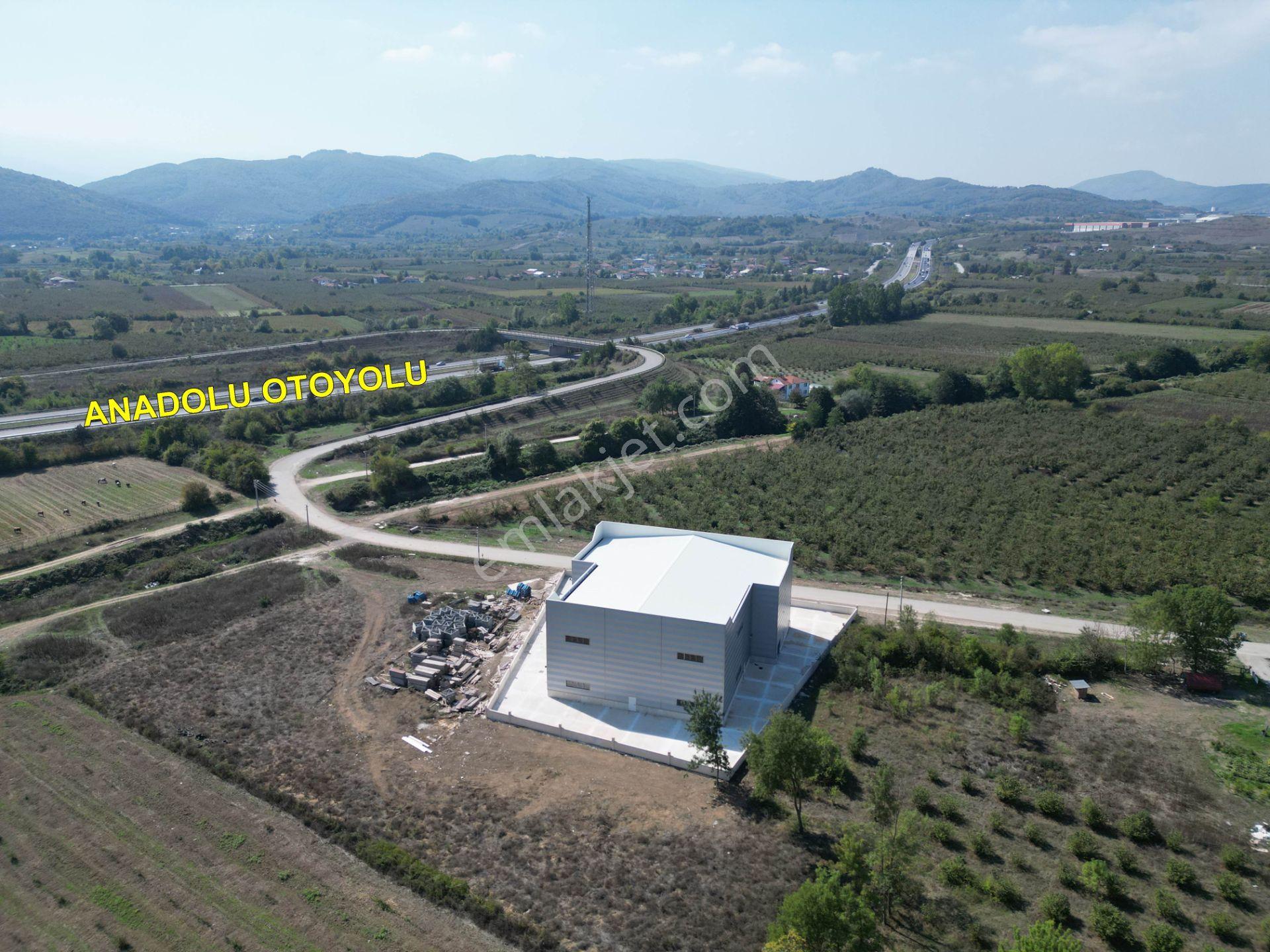 Düzce Gümüşova Hacıkadirler’de Kiralık Fabrika / Depo / Antrepo - Görsel 35