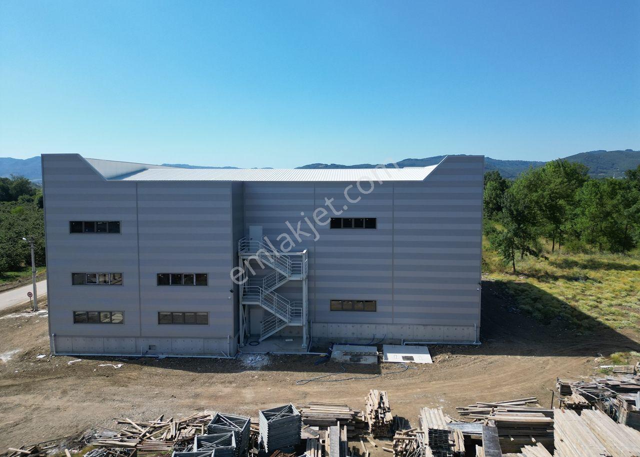 Düzce Gümüşova Hacıkadirler’de Kiralık Fabrika / Depo / Antrepo - Görsel 32