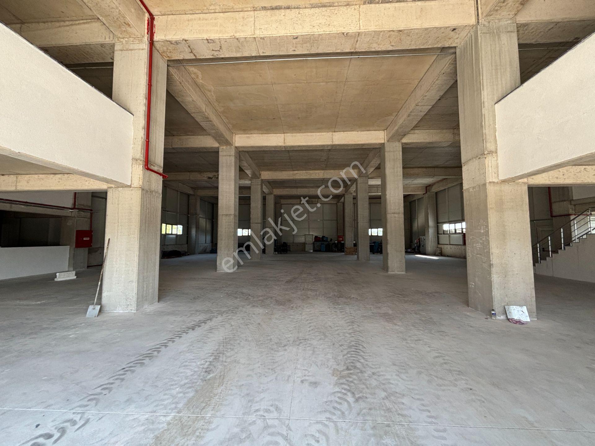Düzce Gümüşova Hacıkadirler’de Kiralık Fabrika / Depo / Antrepo - Görsel 7