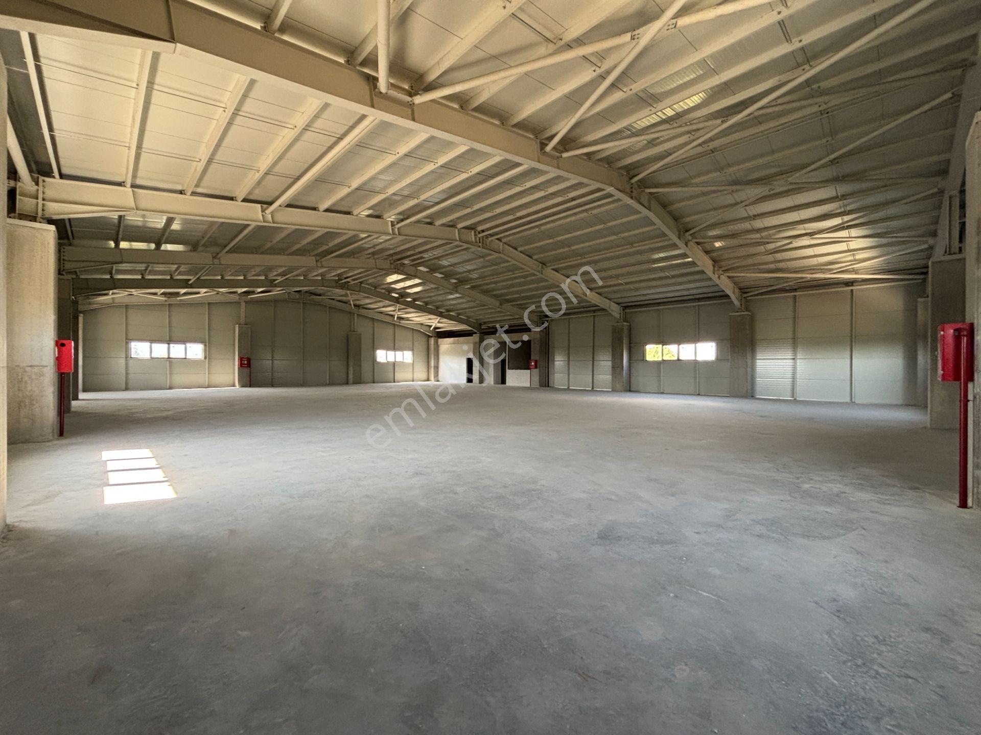 Düzce Gümüşova Hacıkadirler’de Kiralık Fabrika / Depo / Antrepo - Görsel 25