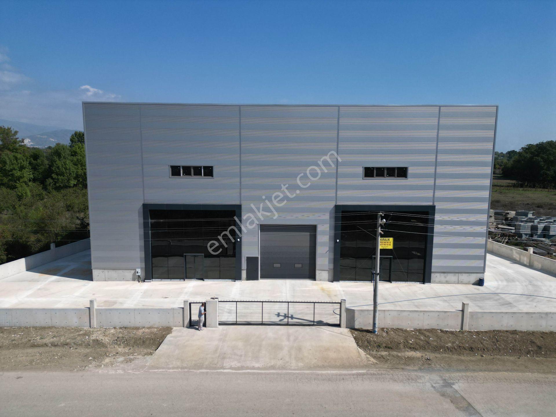 Düzce Gümüşova Hacıkadirler’de Kiralık Fabrika / Depo / Antrepo - Görsel 2