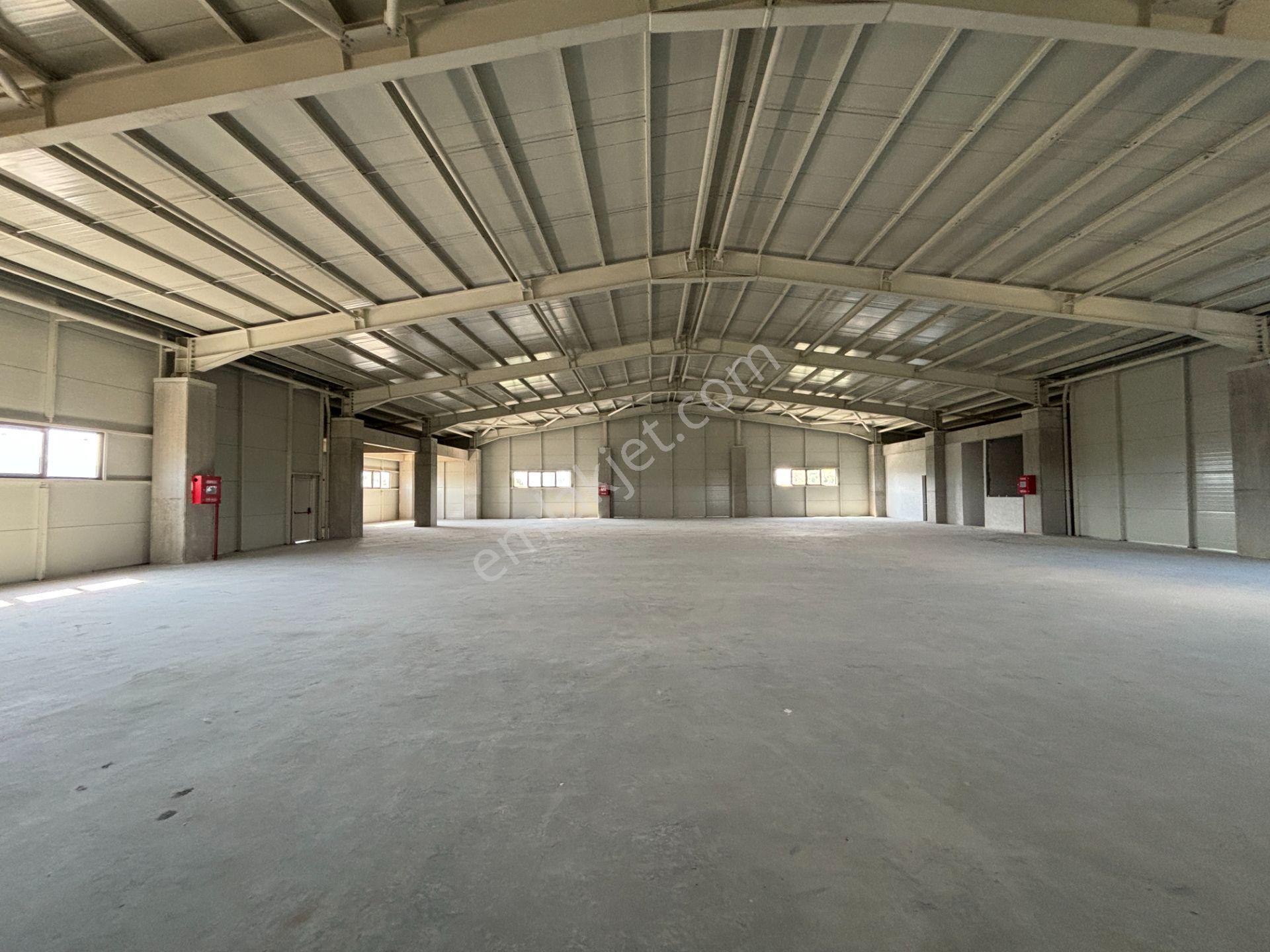 Düzce Gümüşova Hacıkadirler’de Kiralık Fabrika / Depo / Antrepo - Görsel 26