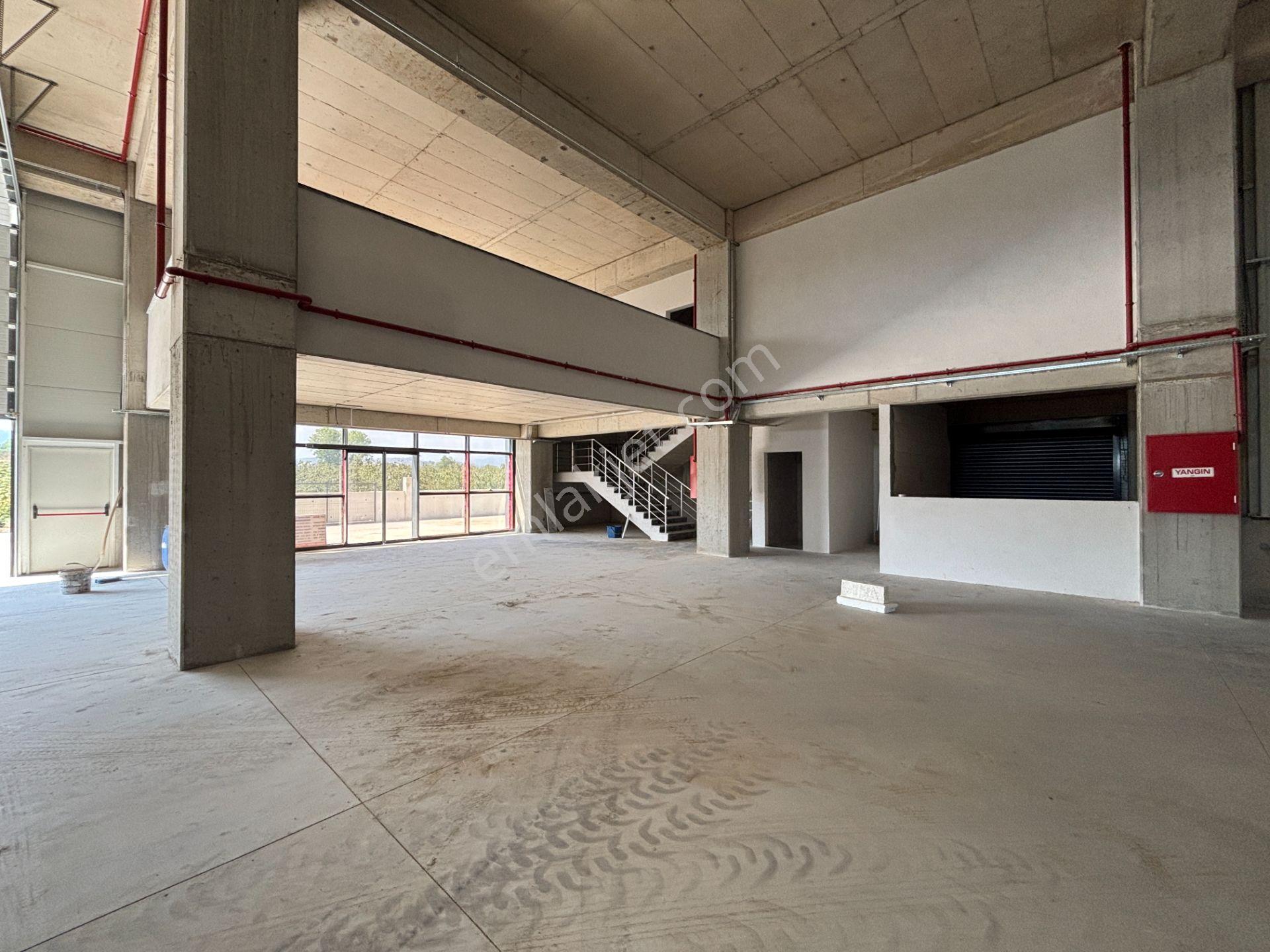 Düzce Gümüşova Hacıkadirler’de Kiralık Fabrika / Depo / Antrepo - Görsel 19