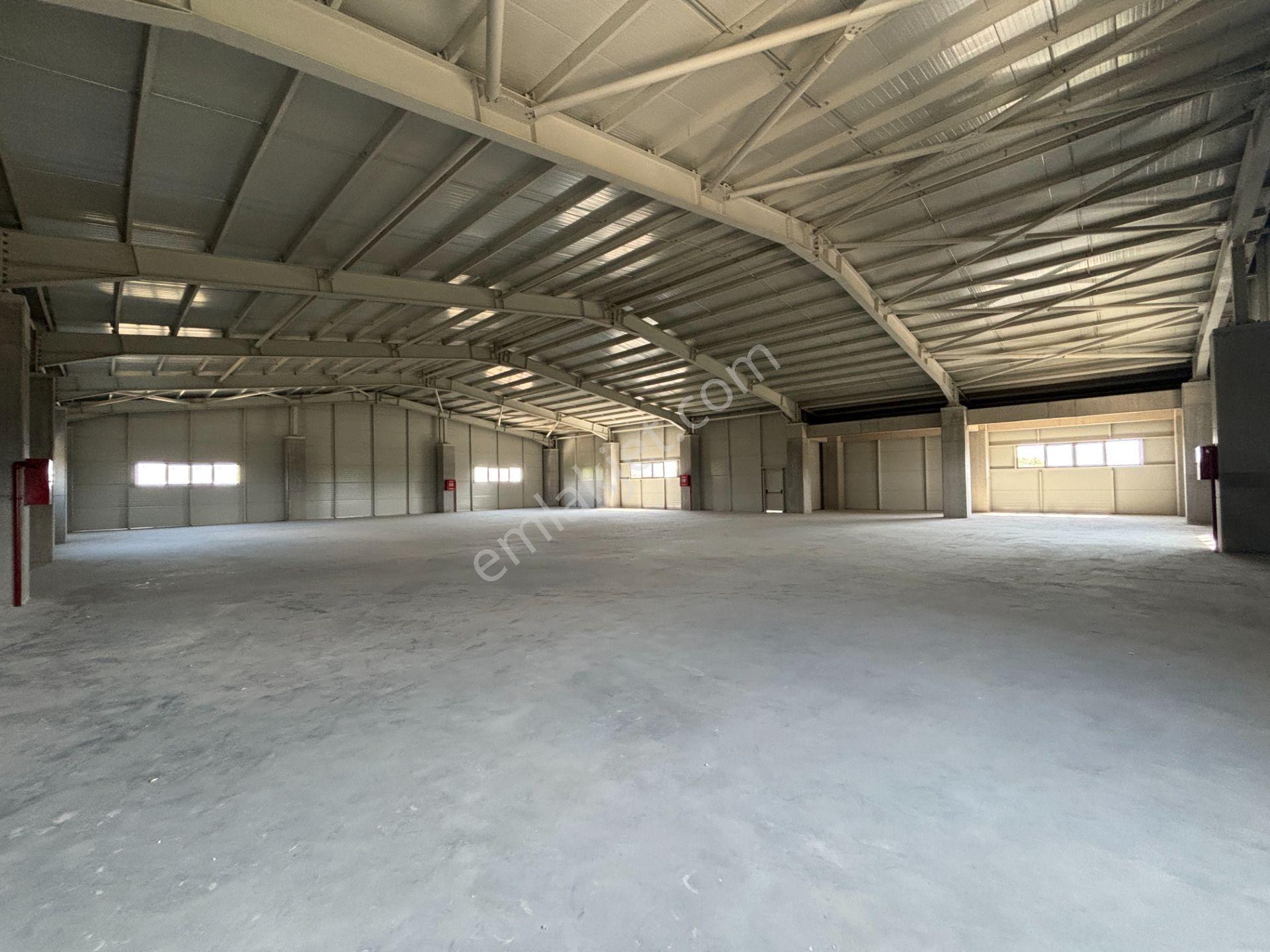 Düzce Gümüşova Hacıkadirler’de Kiralık Fabrika / Depo / Antrepo - Görsel 23