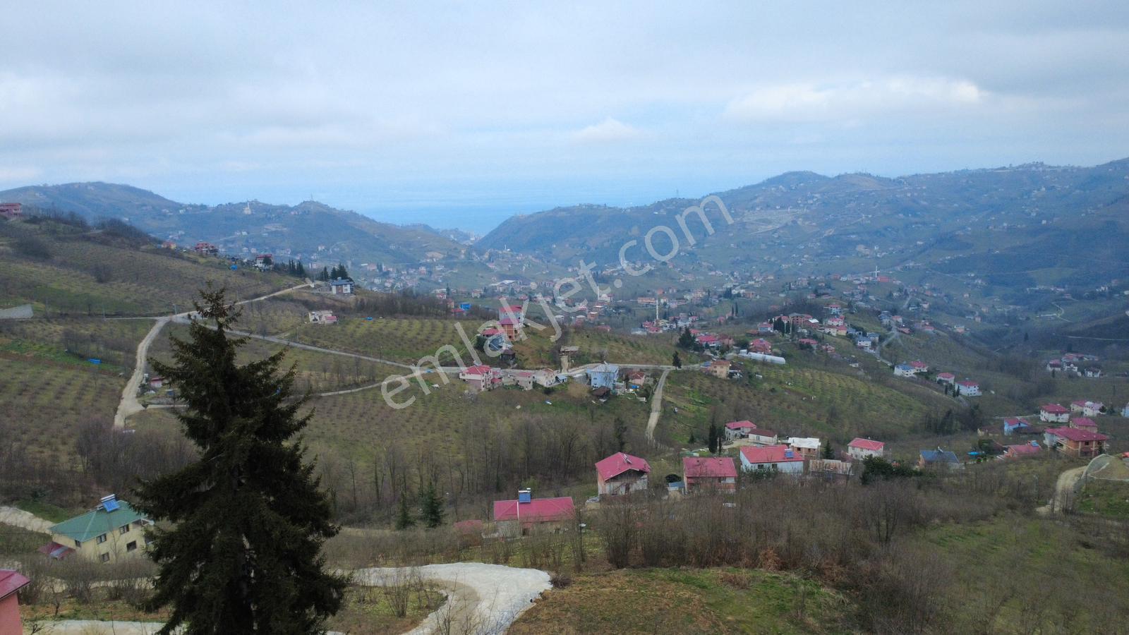 Trabzon Ayvalı'da Satılık Müstakil Ev - Görsel 25
