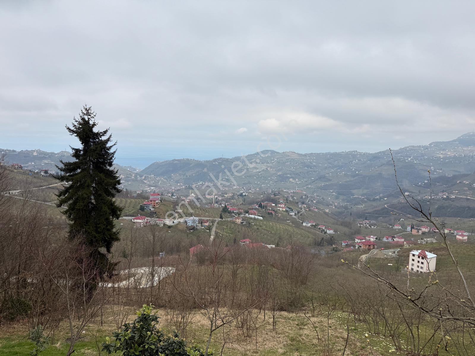 Trabzon Ayvalı'da Satılık Müstakil Ev - Görsel 21