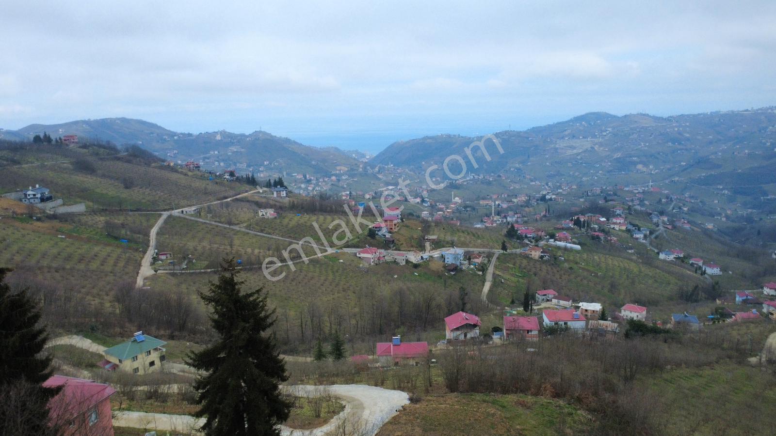 Trabzon Ayvalı'da Satılık Müstakil Ev - Görsel 32
