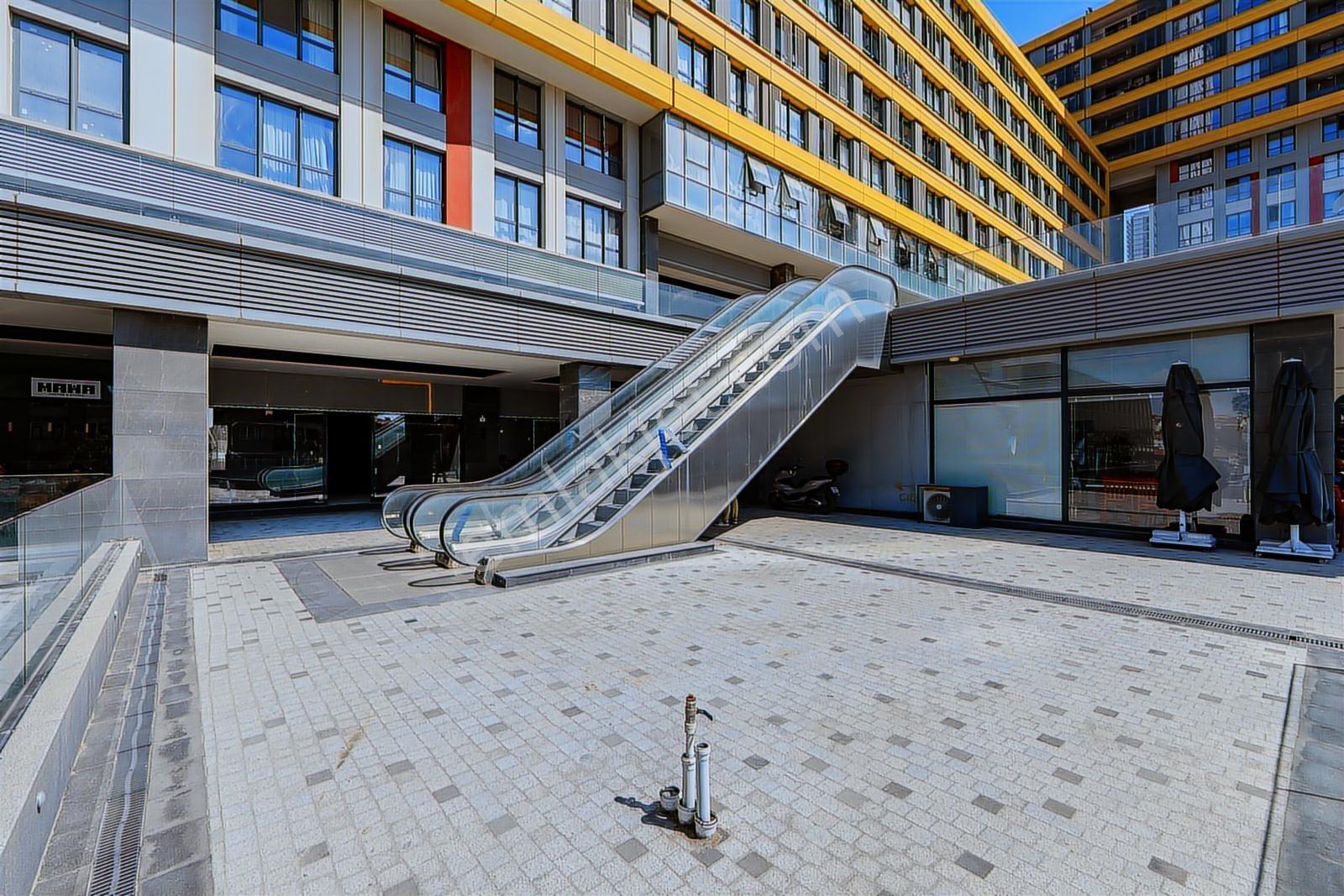 Fikirtepe-evinpark-ön Kullanımlı,cadde Cephe 257m2-yüksek Kiralı - Görsel 3