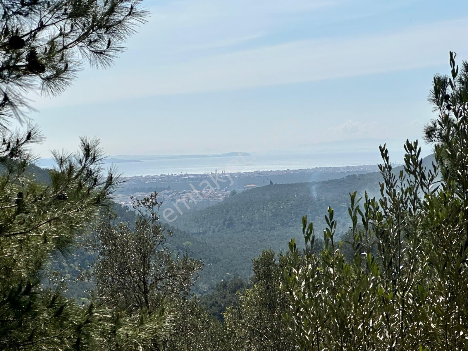 ▀▄mera Emlaktan Mehmetalanda Asfalta Cephe 12.350m2 Zeytinlik - Görsel 26