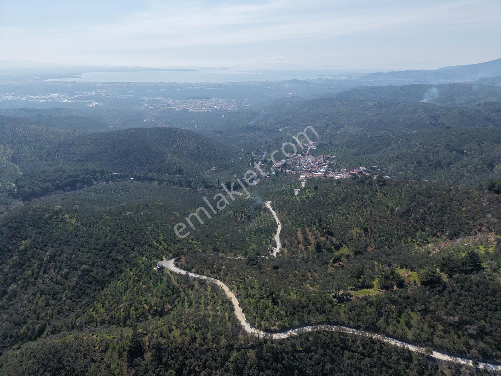 ▀▄mera Emlaktan Mehmetalanda Asfalta Cephe 12.350m2 Zeytinlik - Görsel 15