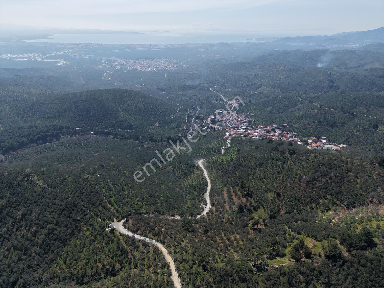 ▀▄mera Emlaktan Mehmetalanda Asfalta Cephe 12.350m2 Zeytinlik - Görsel 28