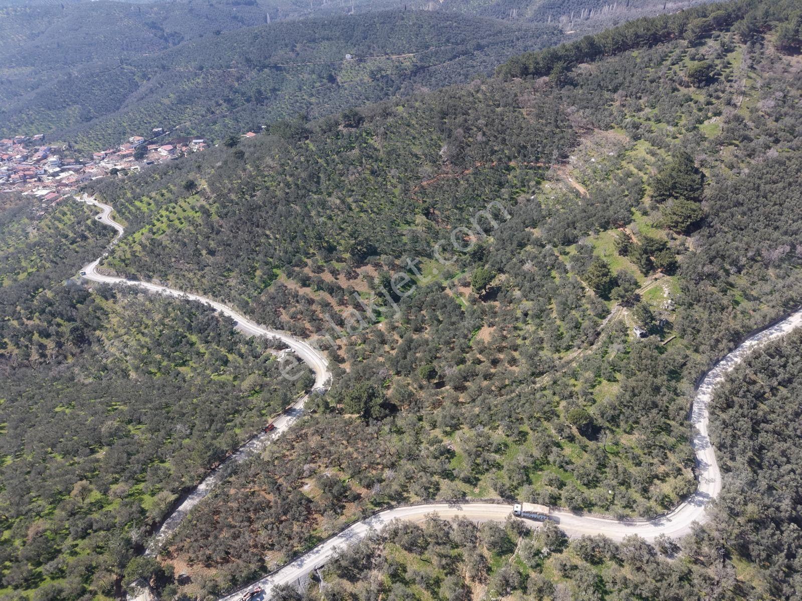 ▀▄mera Emlaktan Mehmetalanda Asfalta Cephe 12.350m2 Zeytinlik - Görsel 20