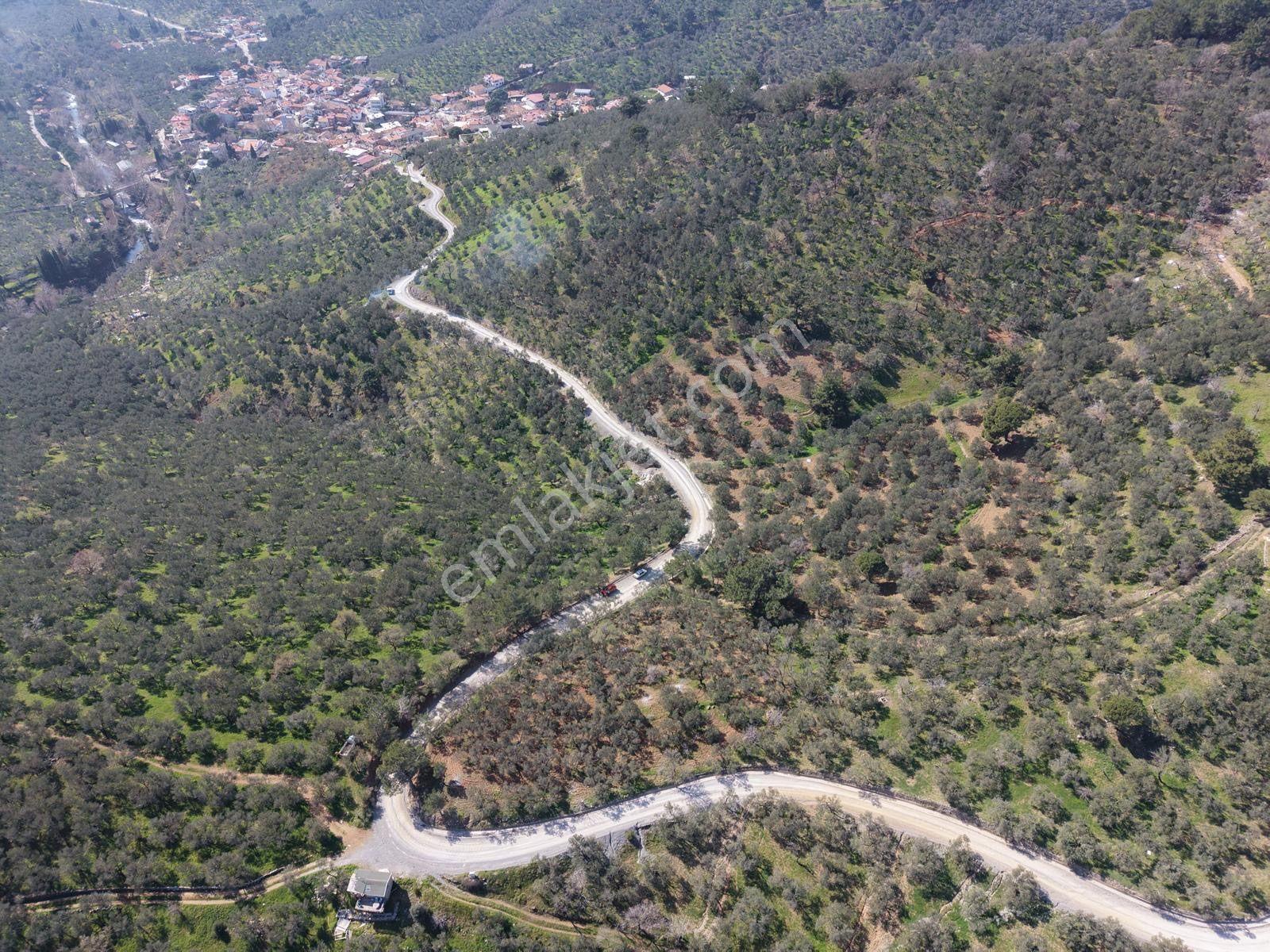 ▀▄mera Emlaktan Mehmetalanda Asfalta Cephe 12.350m2 Zeytinlik - Görsel 21