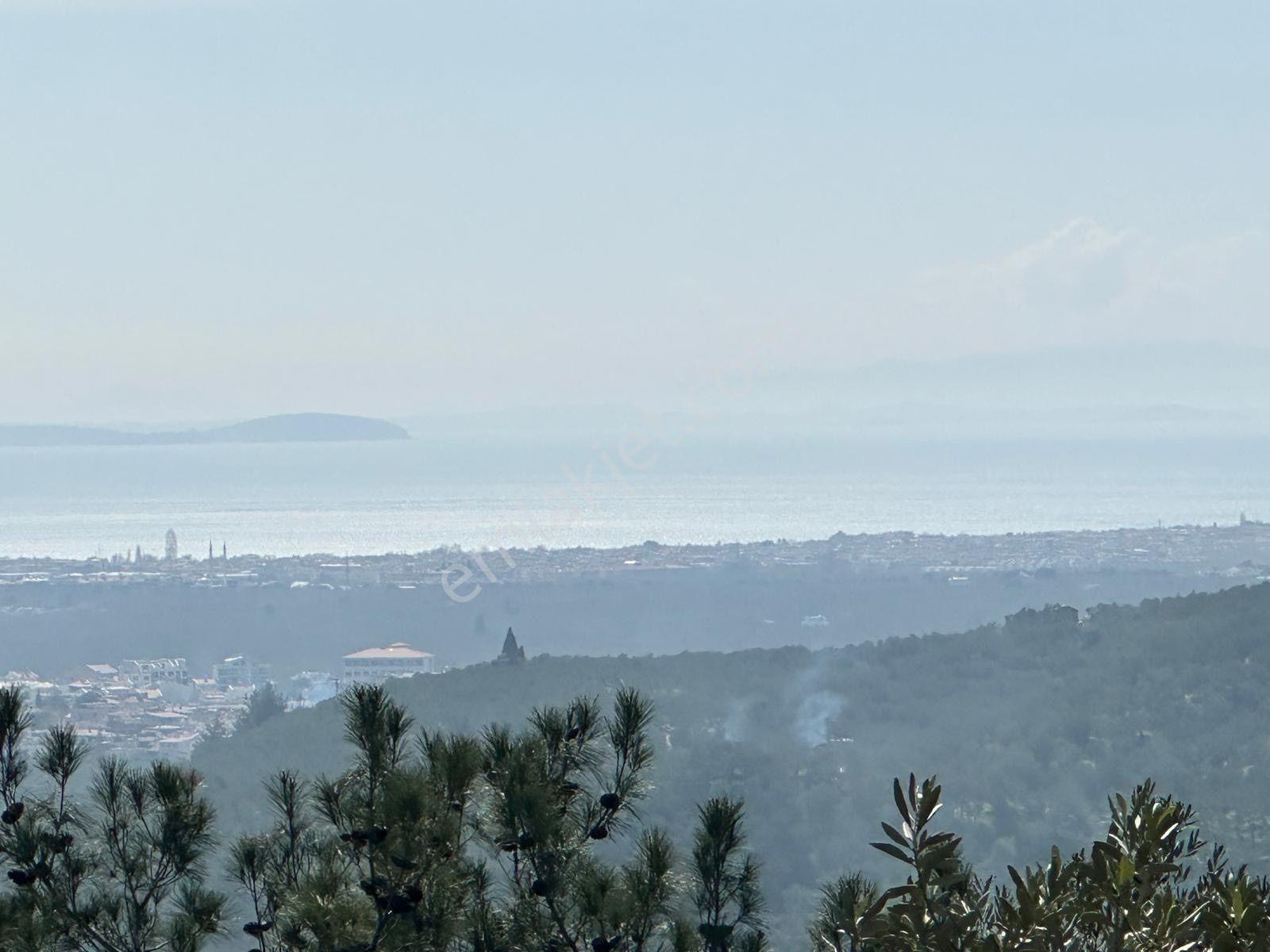 ▀▄mera Emlaktan Mehmetalanda Asfalta Cephe 12.350m2 Zeytinlik - Görsel 23