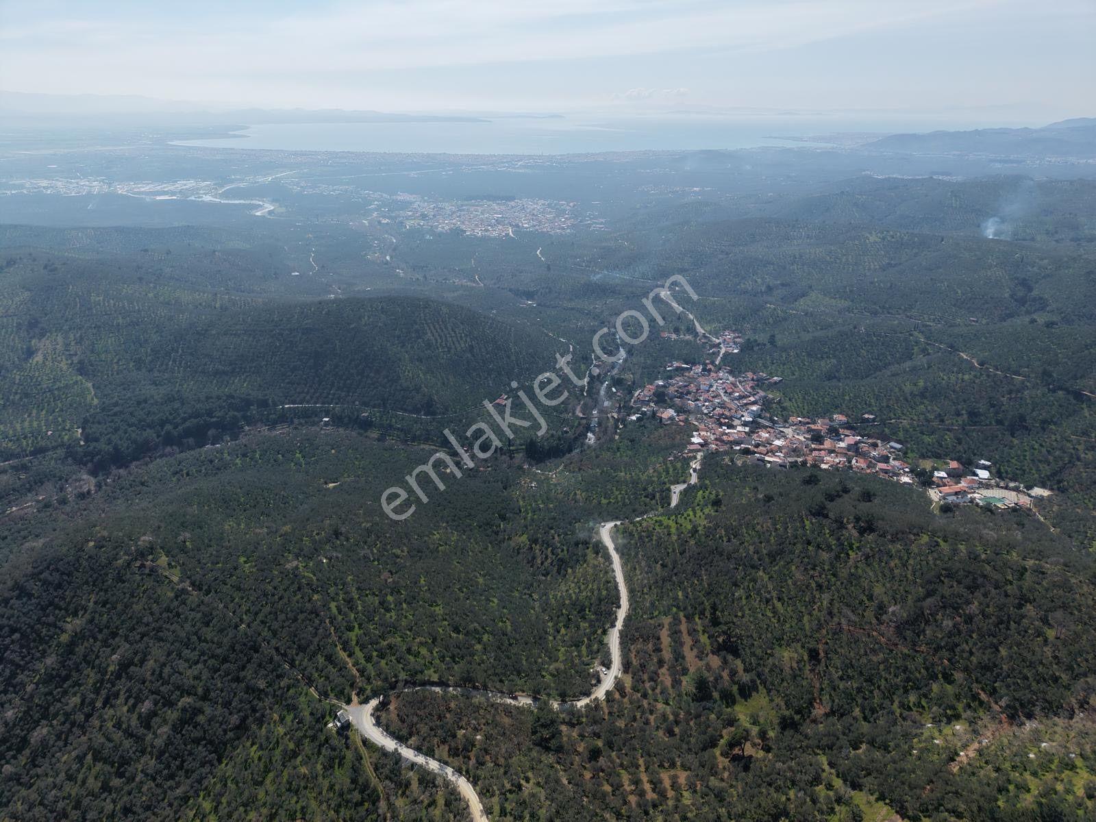 ▀▄mera Emlaktan Mehmetalanda Asfalta Cephe 12.350m2 Zeytinlik - Görsel 12