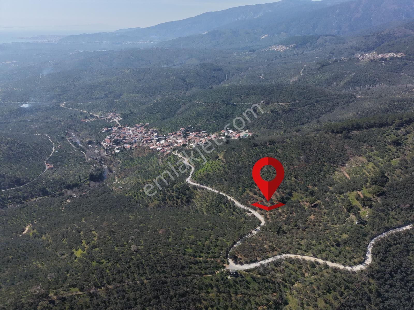 ▀▄mera Emlaktan Mehmetalanda Asfalta Cephe 12.350m2 Zeytinlik - Görsel 35
