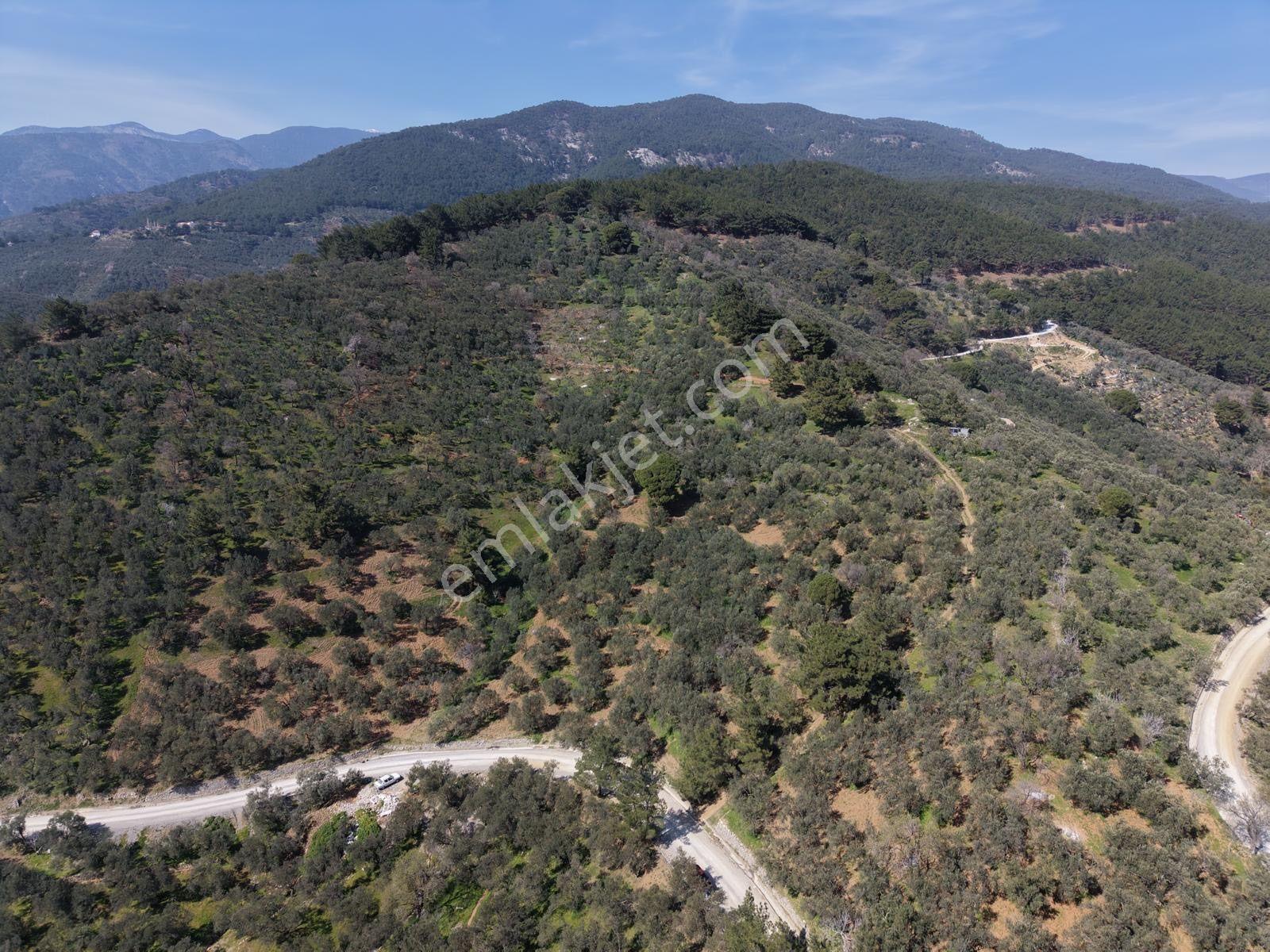 ▀▄mera Emlaktan Mehmetalanda Asfalta Cephe 12.350m2 Zeytinlik - Görsel 27