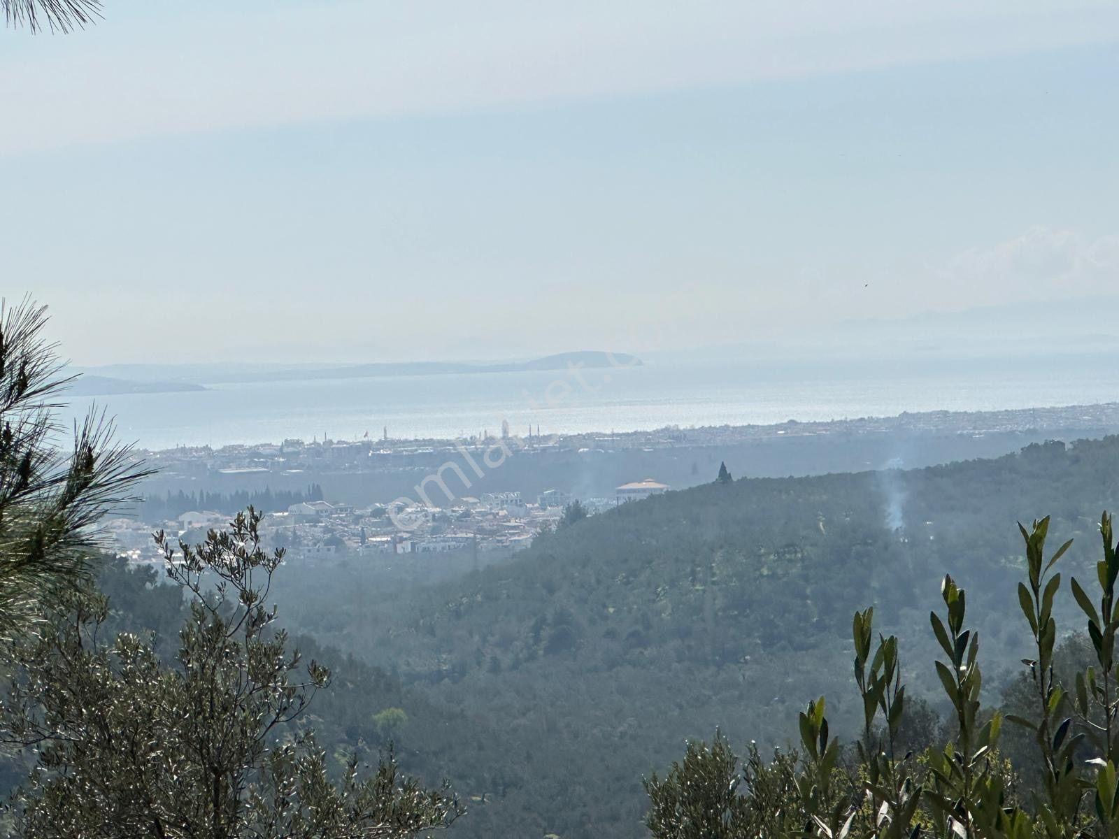 ▀▄mera Emlaktan Mehmetalanda Asfalta Cephe 12.350m2 Zeytinlik - Görsel 29