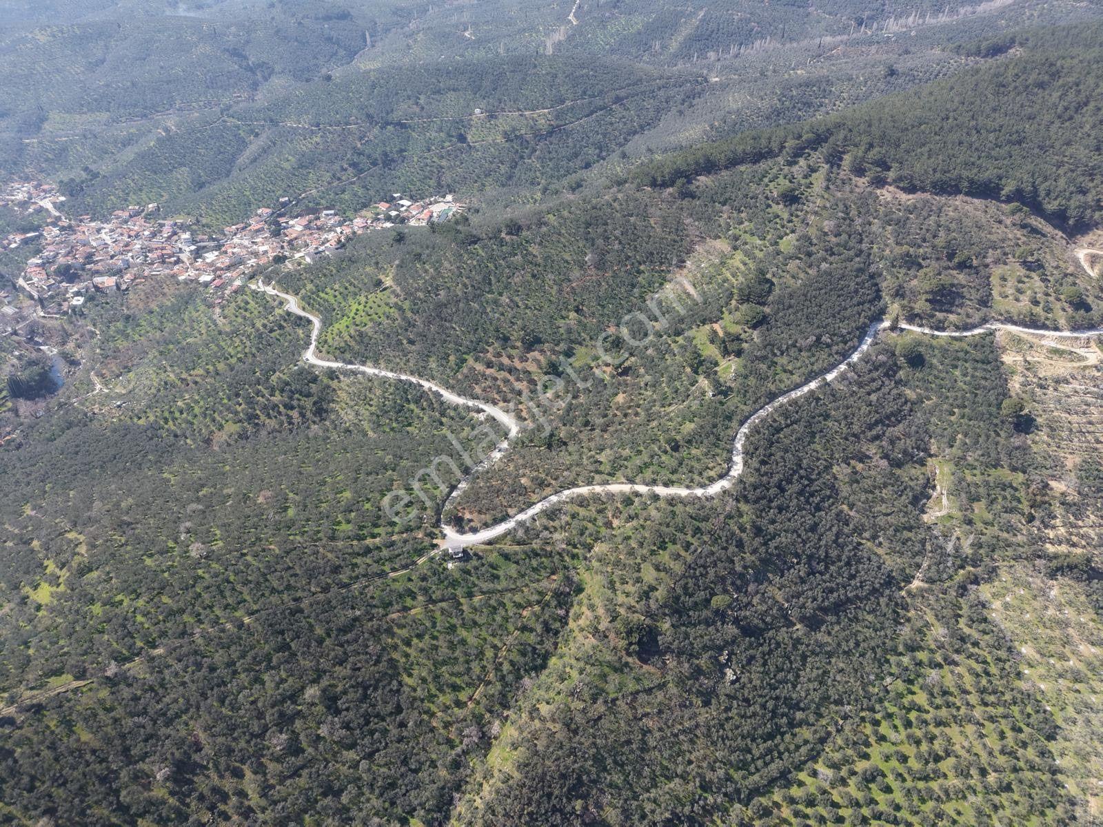▀▄mera Emlaktan Mehmetalanda Asfalta Cephe 12.350m2 Zeytinlik - Görsel 10