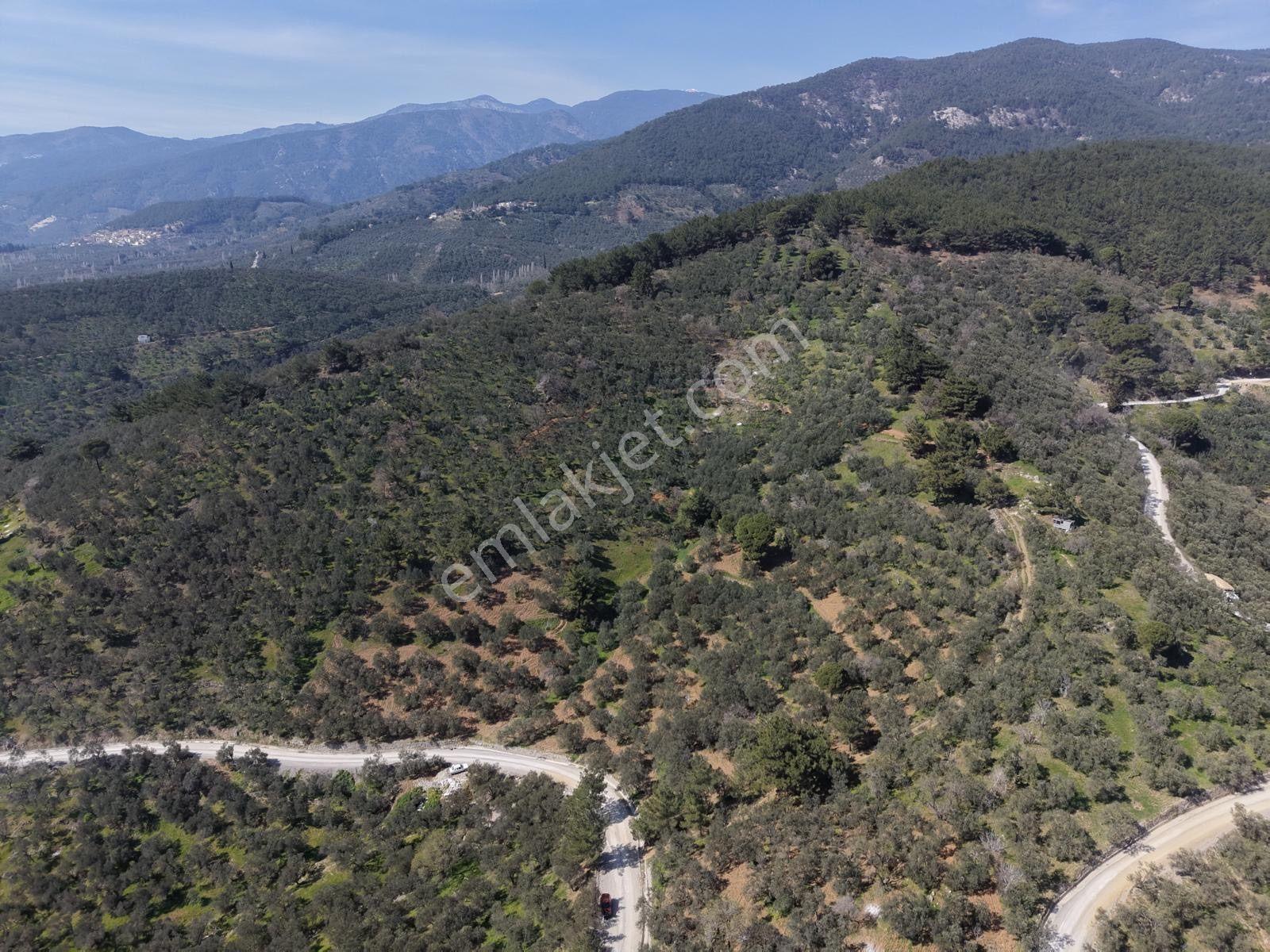 ▀▄mera Emlaktan Mehmetalanda Asfalta Cephe 12.350m2 Zeytinlik - Görsel 7