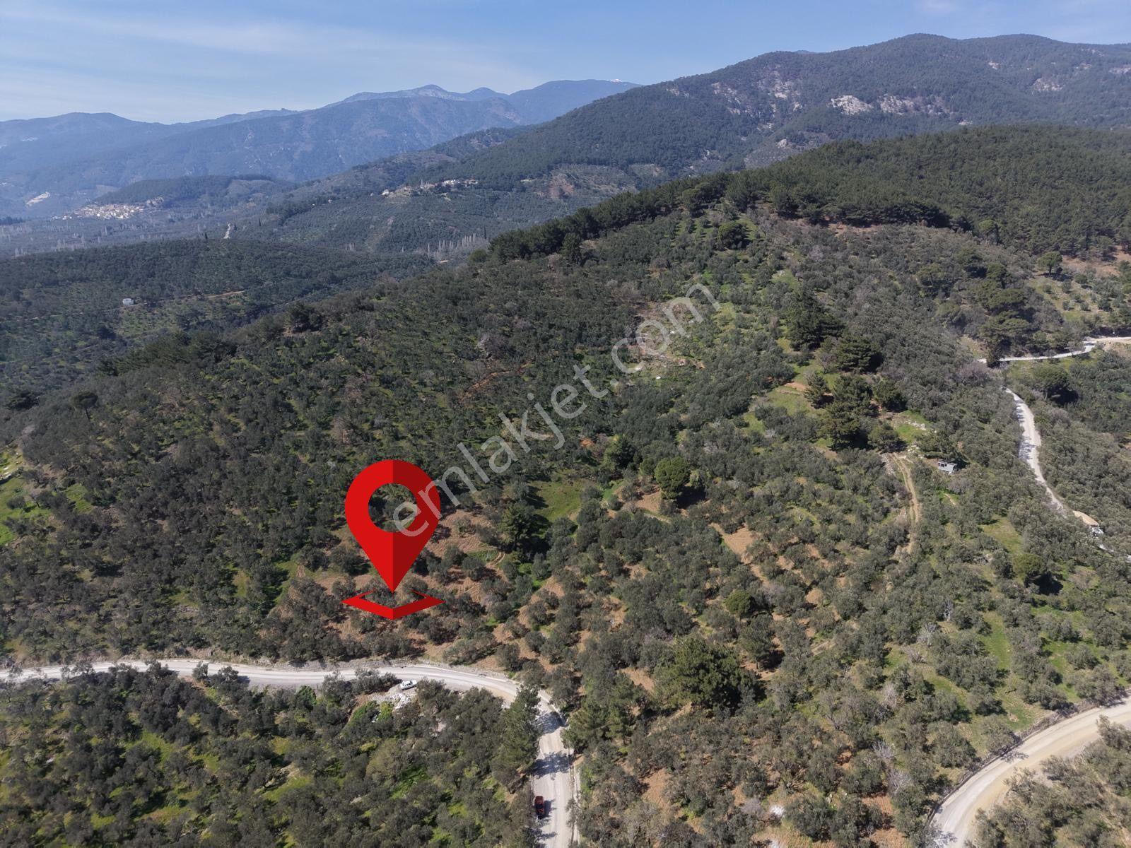 ▀▄mera Emlaktan Mehmetalanda Asfalta Cephe 12.350m2 Zeytinlik - Görsel 31