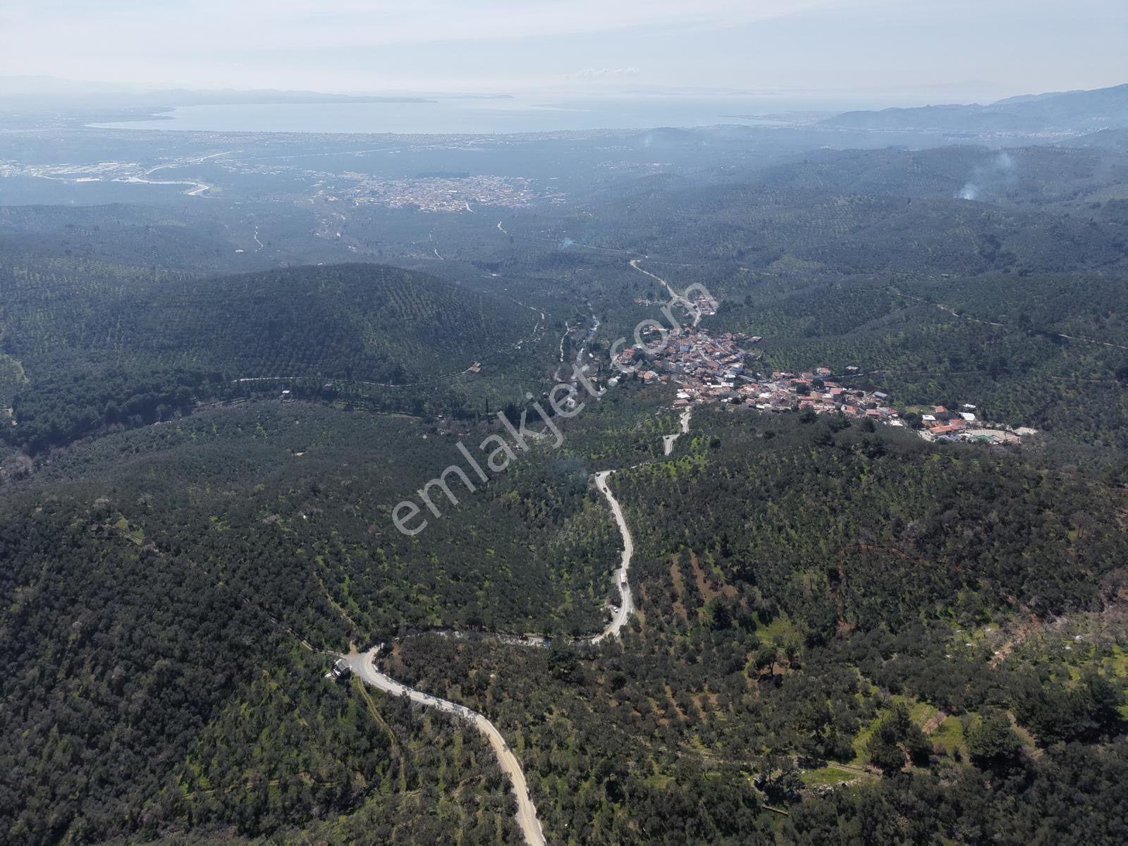▀▄mera Emlaktan Mehmetalanda Asfalta Cephe 12.350m2 Zeytinlik - Görsel 17