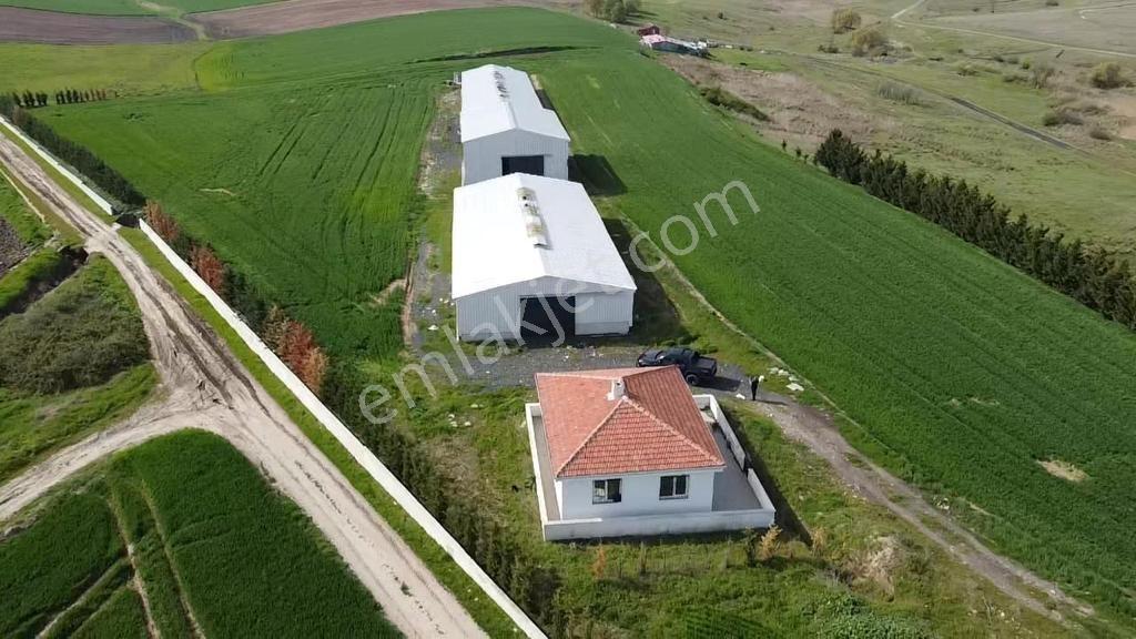 Turyaptan Ergene Ulaşta 1.400 M2 Kiralık Depolama/üretim Yeri