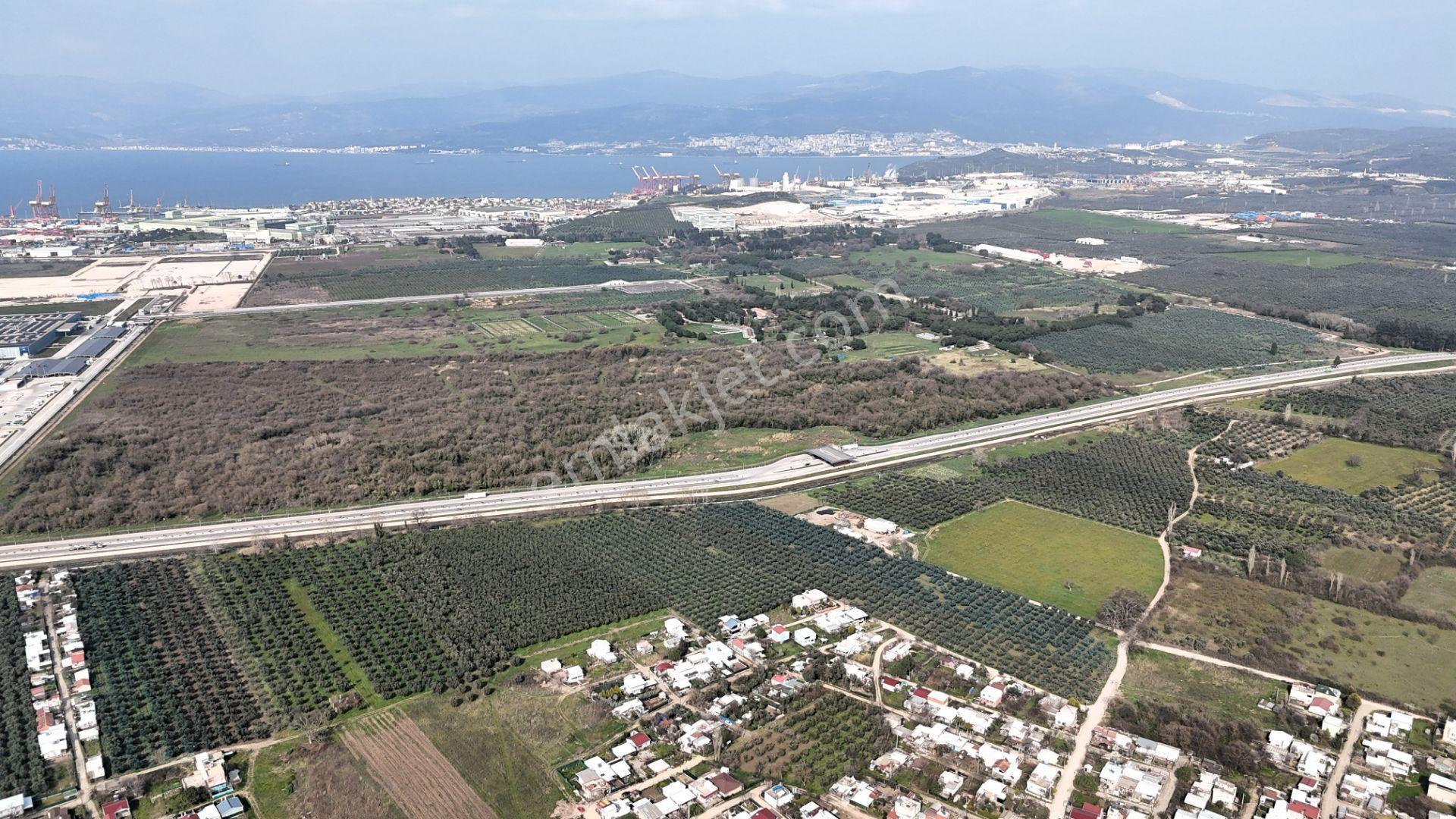 C21 Cius; Kumsaz'da Bahçeli Çift Cephe Yeni Yapı Müstakil Ev - Görsel 24