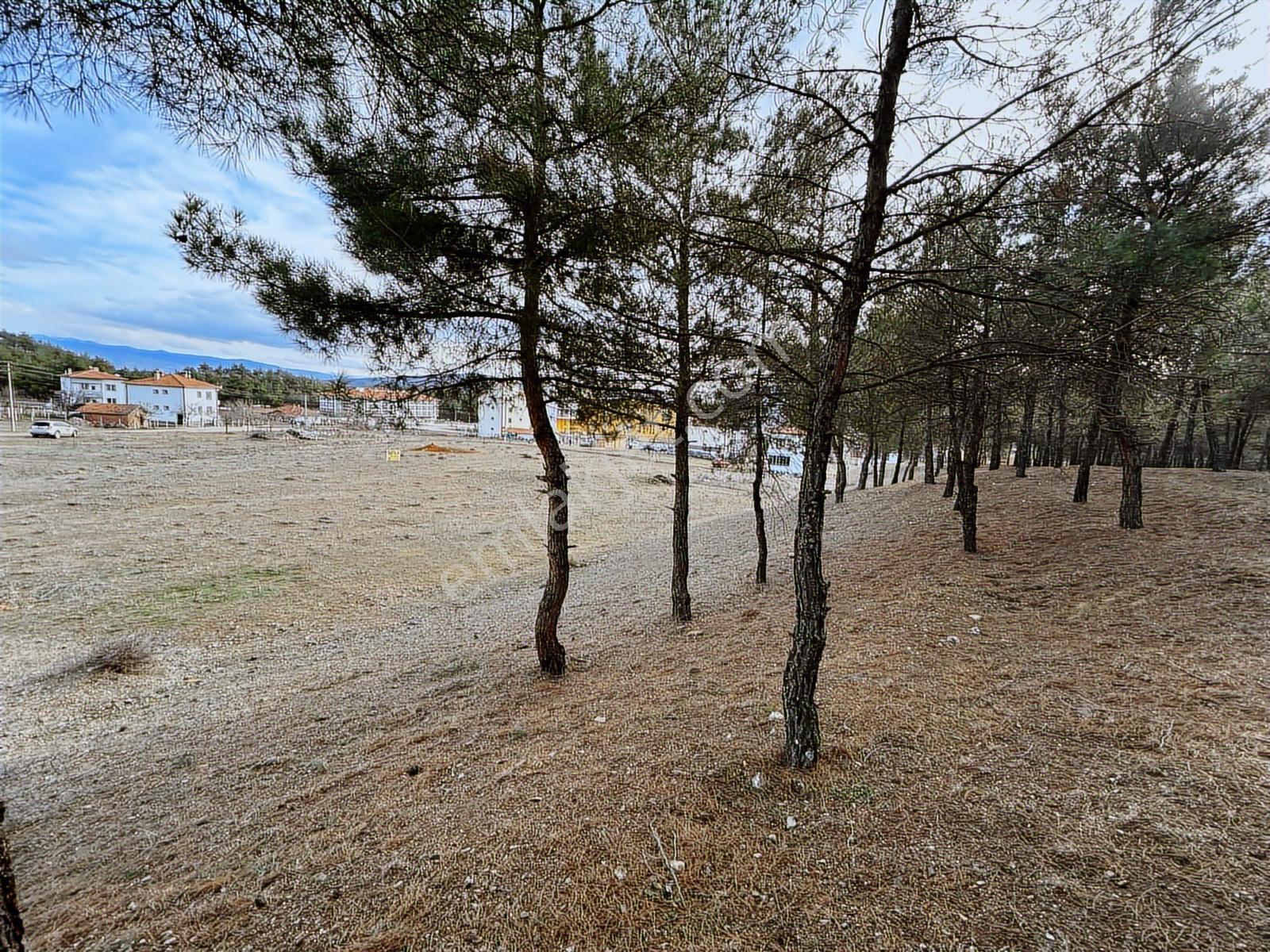 Sıla Gayrimenkulden Koyunbaba Mah.2 Yanyana 4 Kat İmarlı 959m2. - Görsel 20
