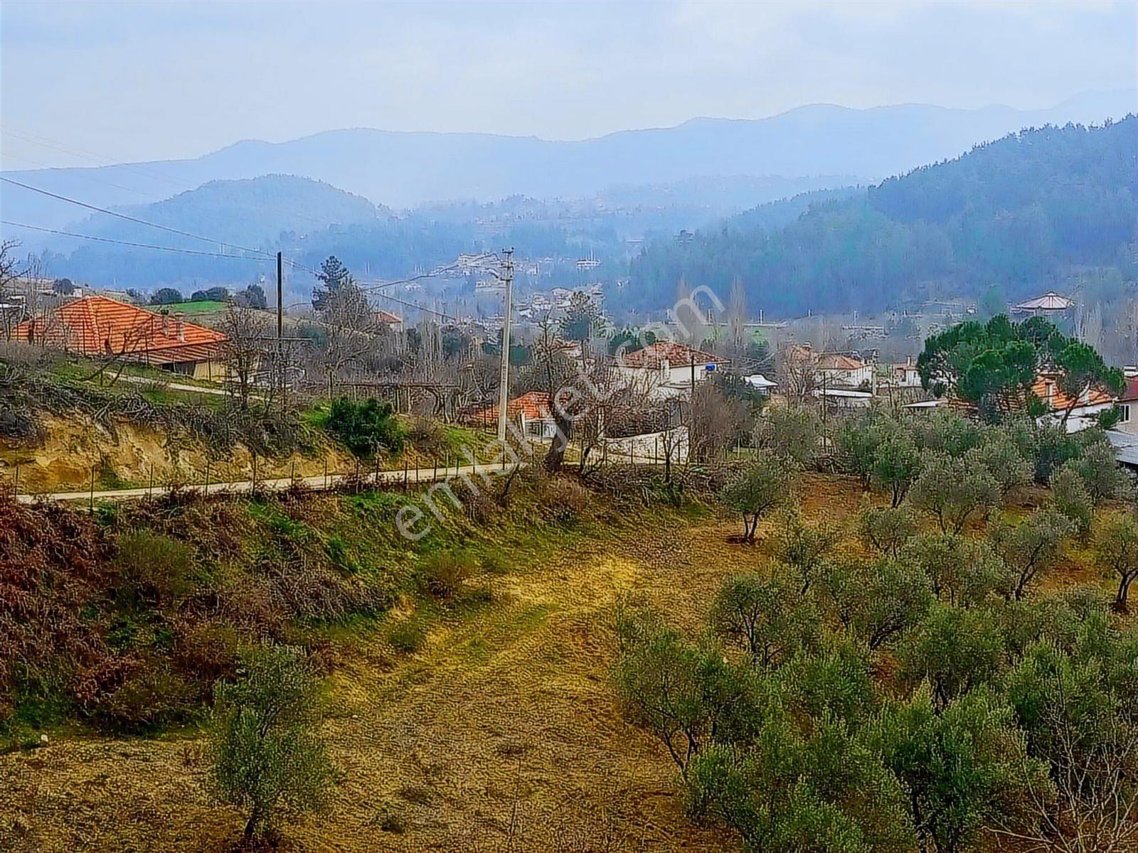 Muğla Kavaklıdere'de 390m2 Satılık Arsa - Görsel 17
