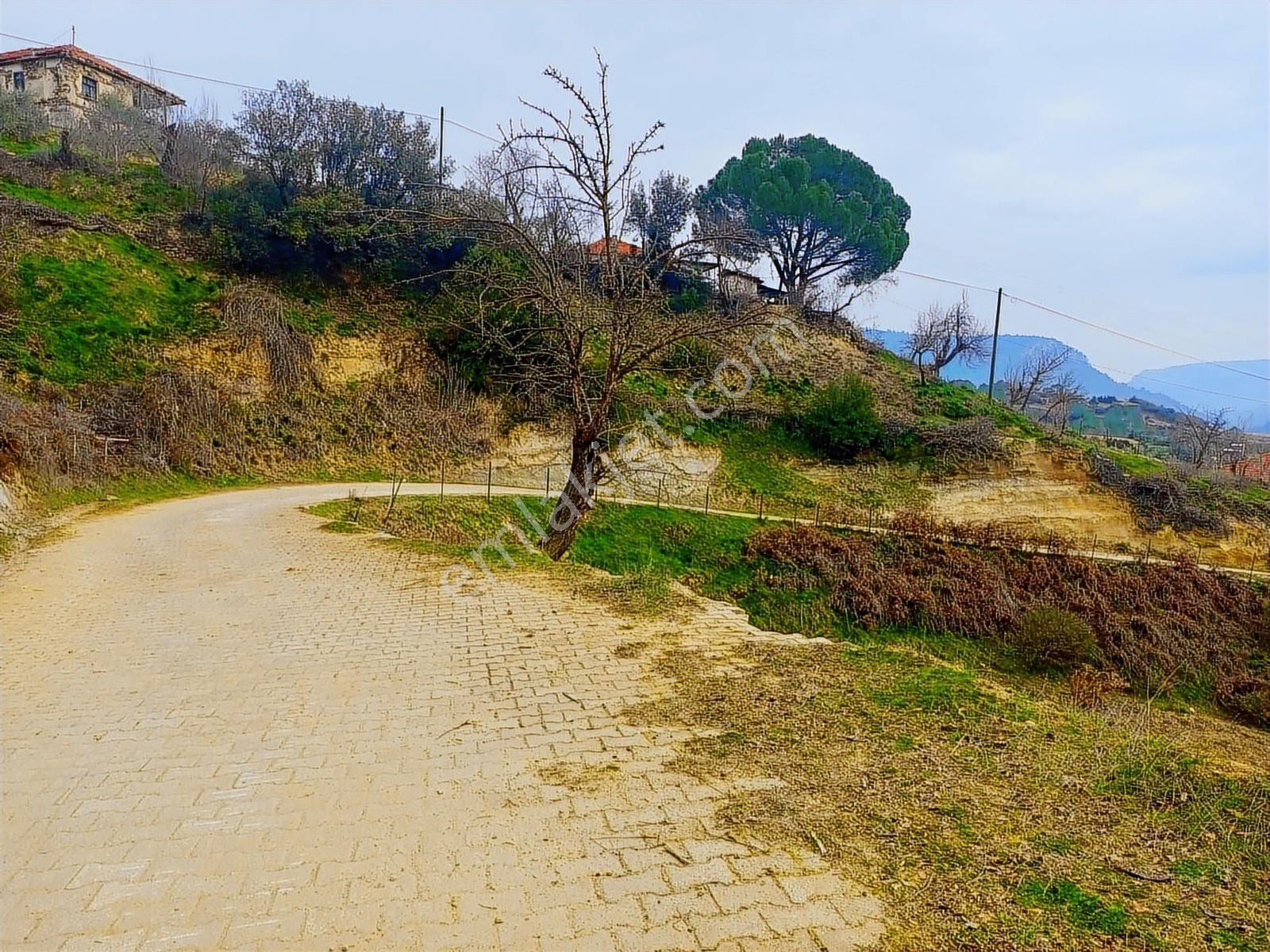 Muğla Kavaklıdere'de 390m2 Satılık Arsa - Görsel 12
