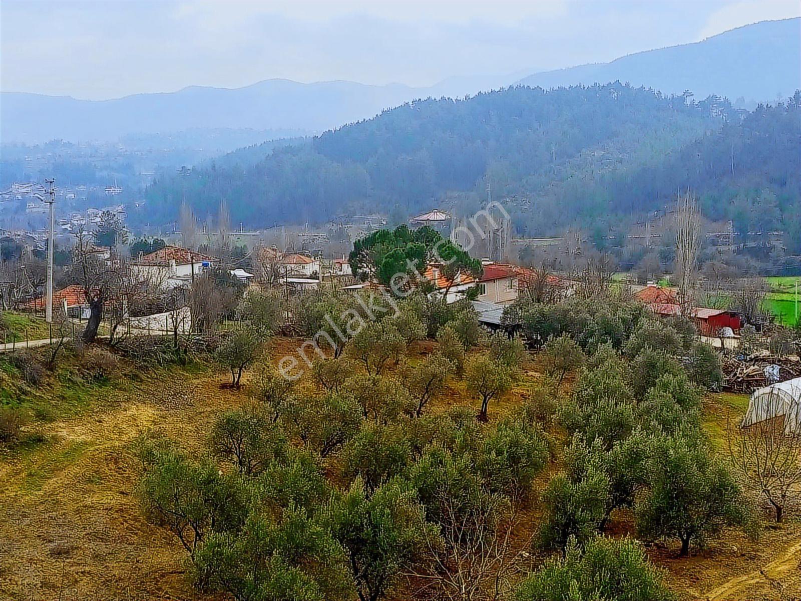 Muğla Kavaklıdere'de 390m2 Satılık Arsa - Görsel 13