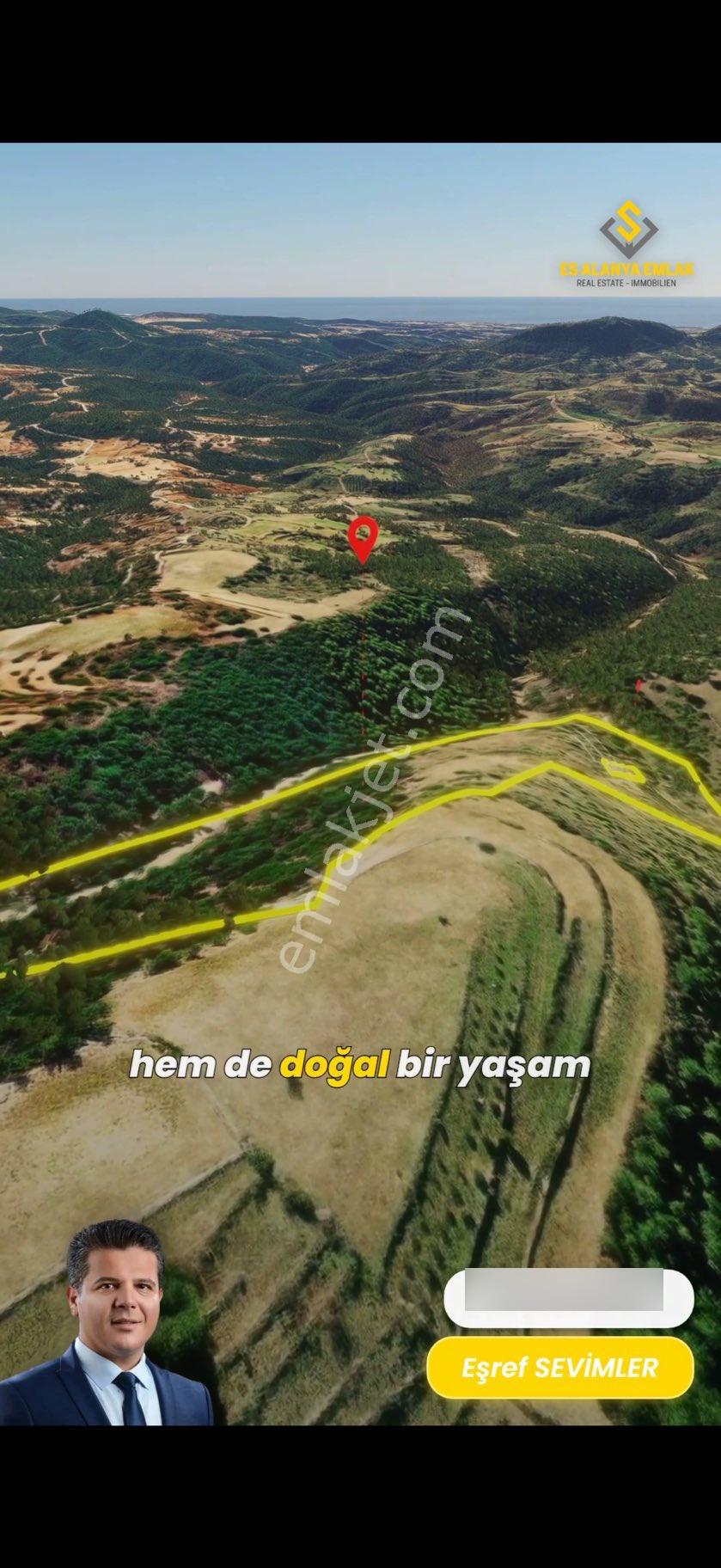 Satılık 43.468m² Tarla, Manavgat-hocalı - Görsel 5