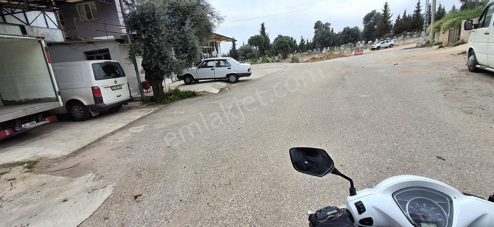 Aydın Nazilli Bozyurt Mahallesinde Satılık İncir Bahçesi - Görsel 2