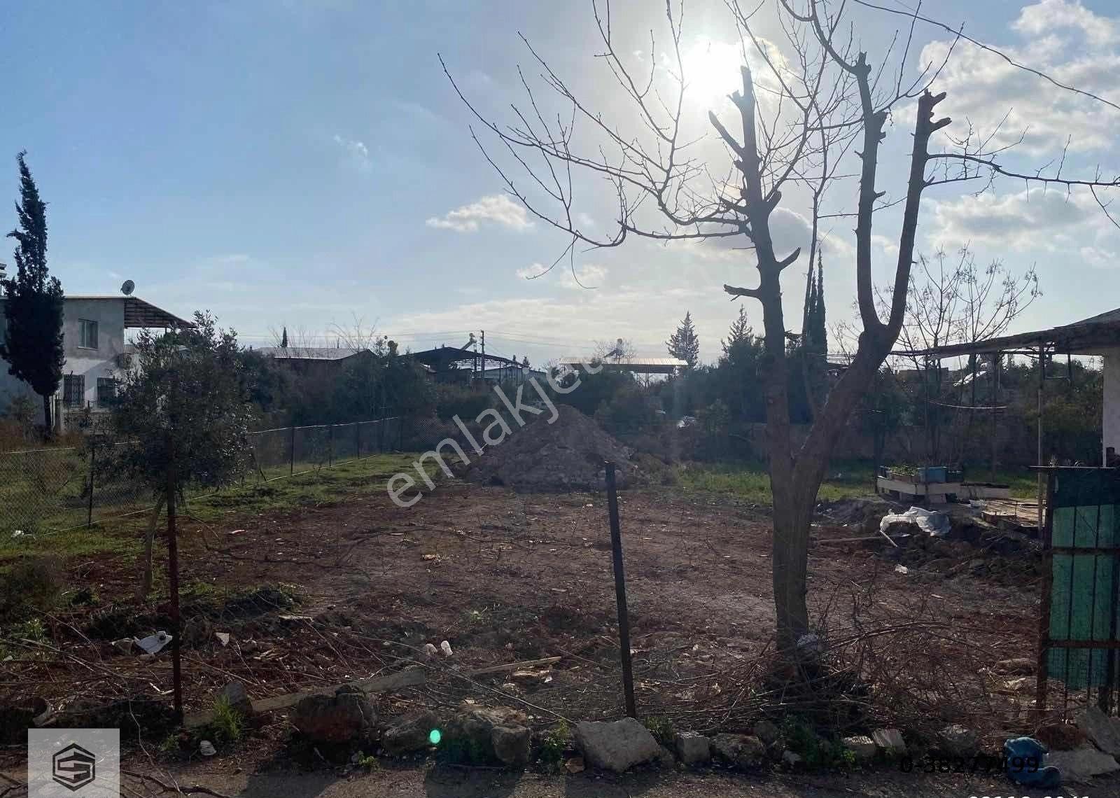 Antalya Aksu Atatürk Mah. Ayrı Tapulu 463m2 Tarla - Görsel 3