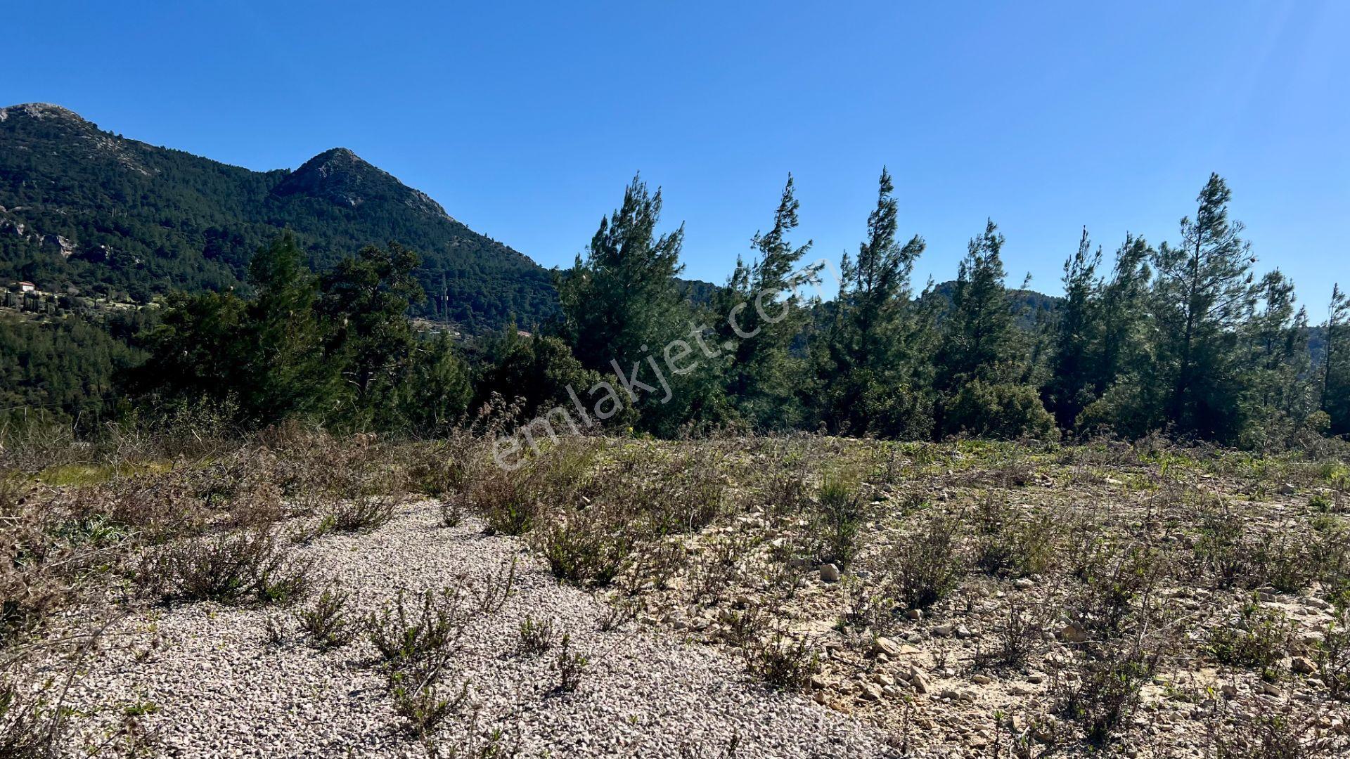 Antalya Kumluca Belen Mah. Satılık Deniz Manzaralı Arazi - Görsel 32