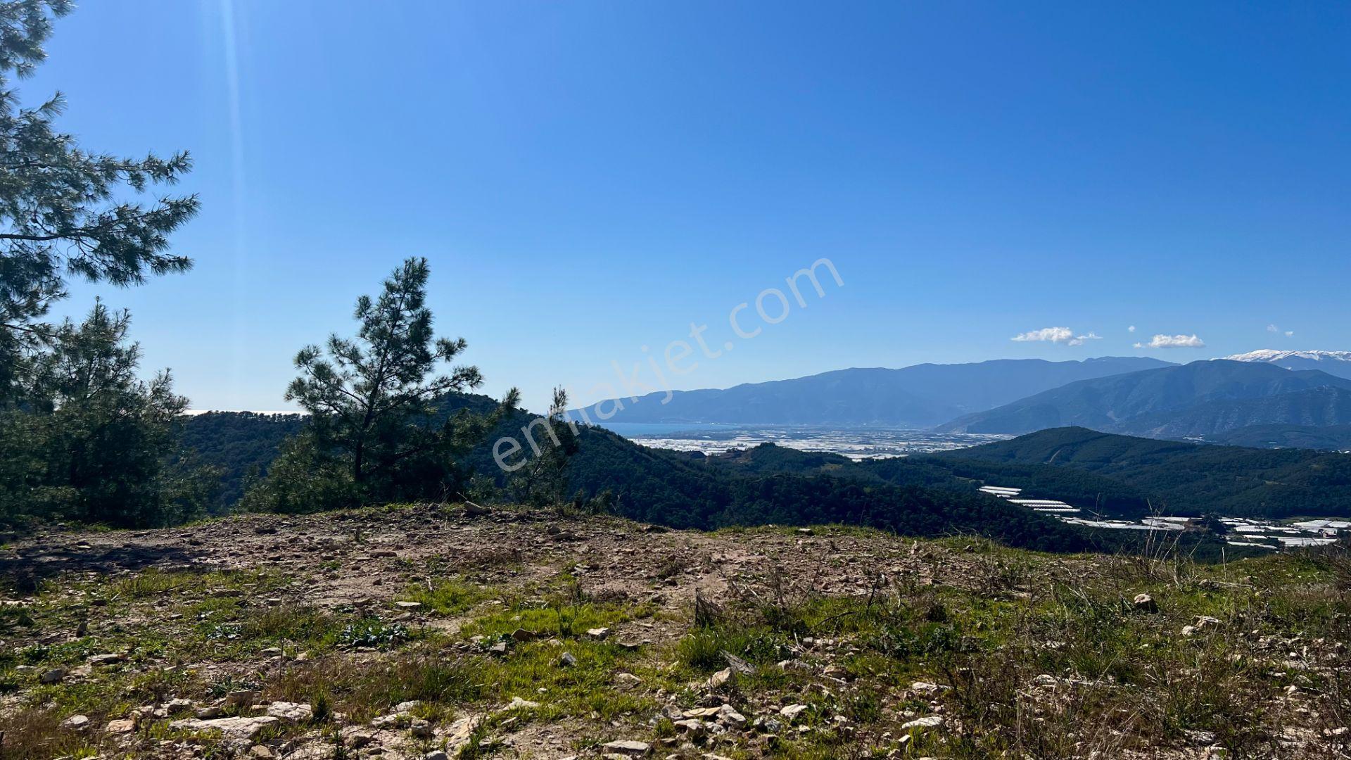 Antalya Kumluca Belen Mah. Satılık Deniz Manzaralı Arazi - Görsel 14