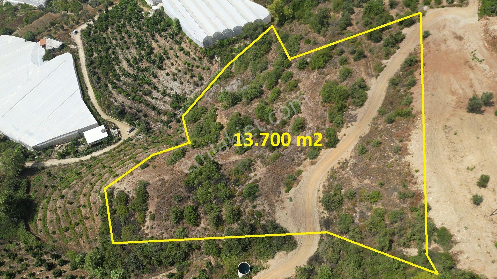 Satılık 13.699m² Tarla, Alanya-emişbeleni - Görsel 5