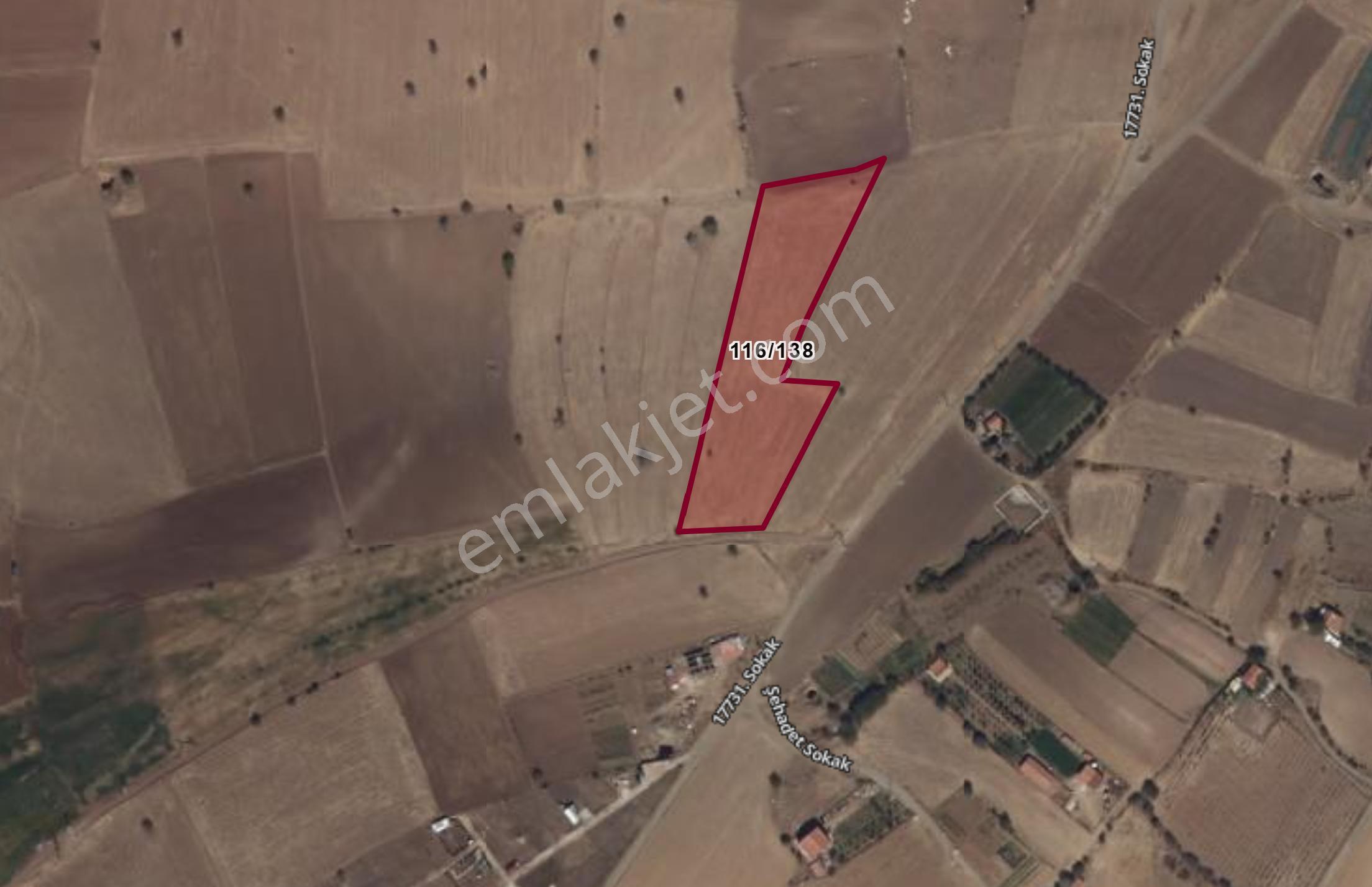 Tekin Oğlun'dan Meram Karadiğin 8.400 M² Müstakil Tapulu Tarla - Görsel 6